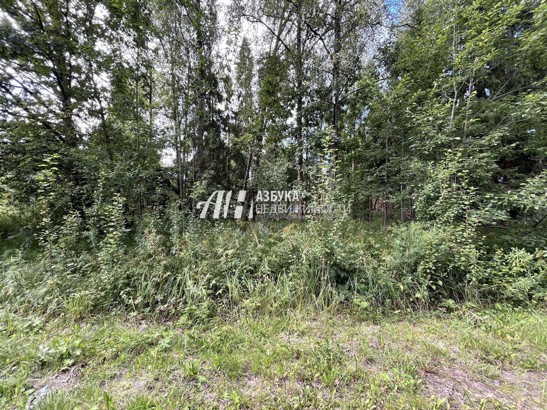 Земли поселения Московская область, городской округ Пушкинский, посёлок городского типа Софрино, микрорайон Пушкинский Лес