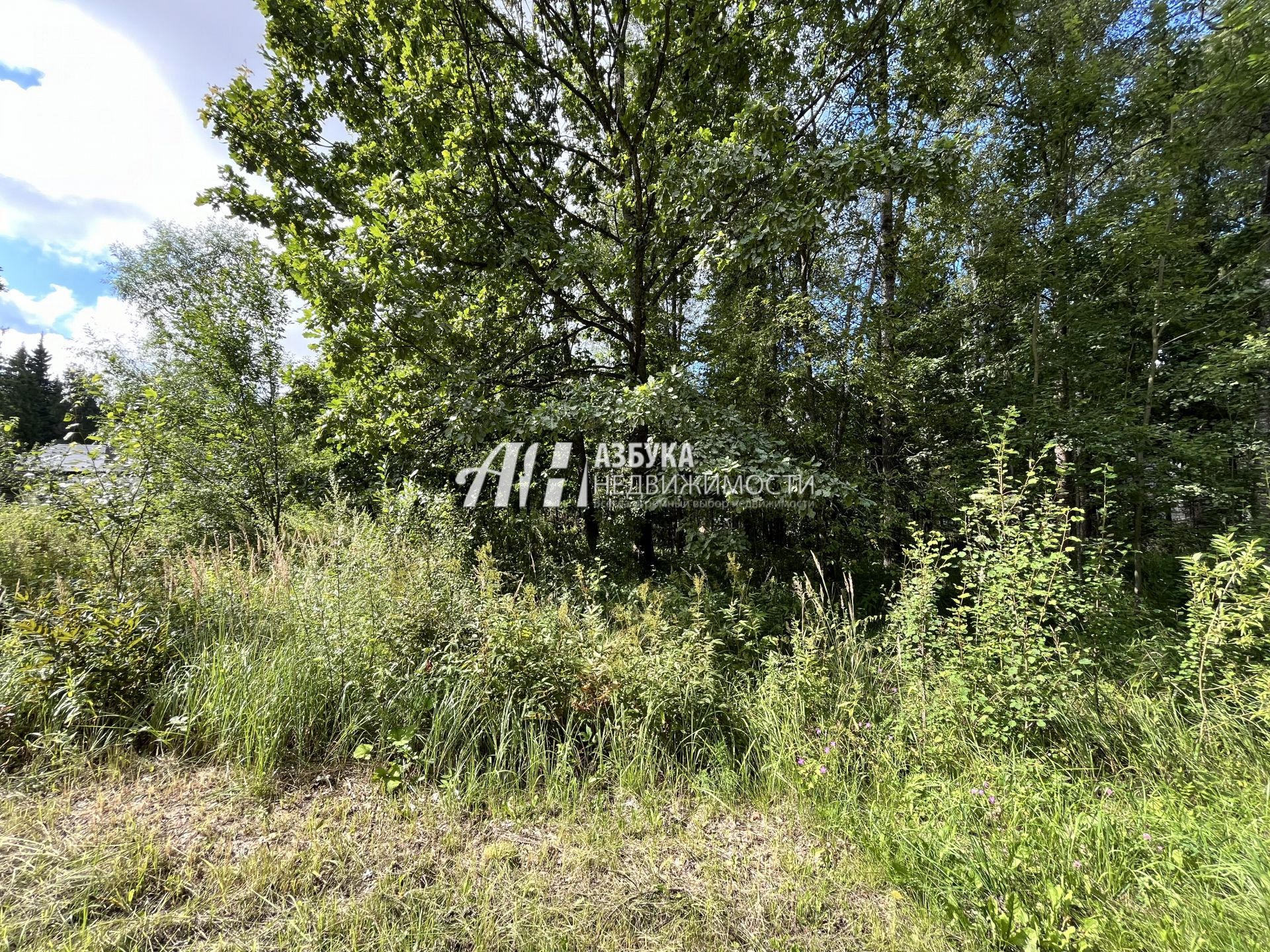 Земли поселения Московская область, городской округ Пушкинский, посёлок городского типа Софрино, микрорайон Пушкинский Лес