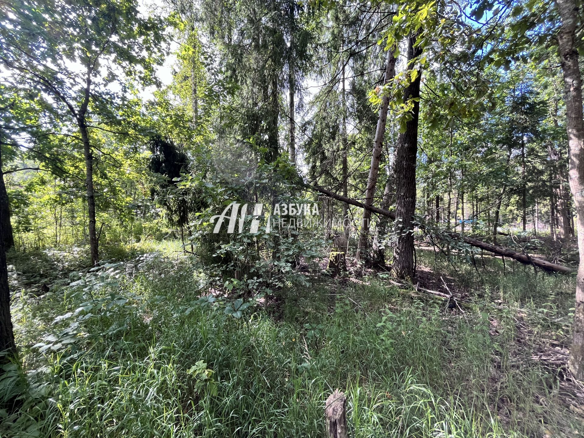 Земли поселения Московская область, городской округ Пушкинский, посёлок городского типа Софрино, микрорайон Пушкинский Лес
