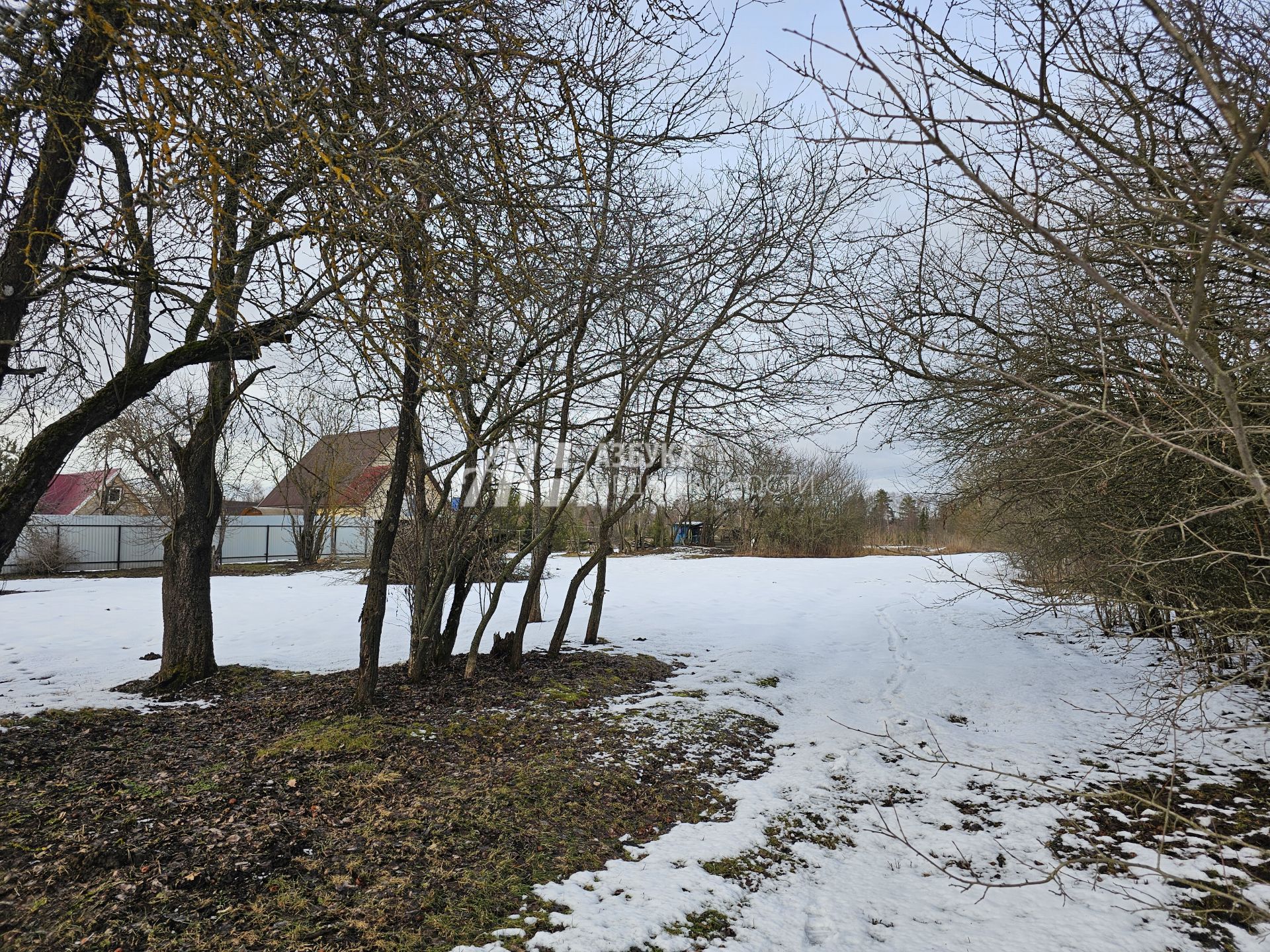  Московская область, Наро-Фоминский городской округ, деревня Митенино