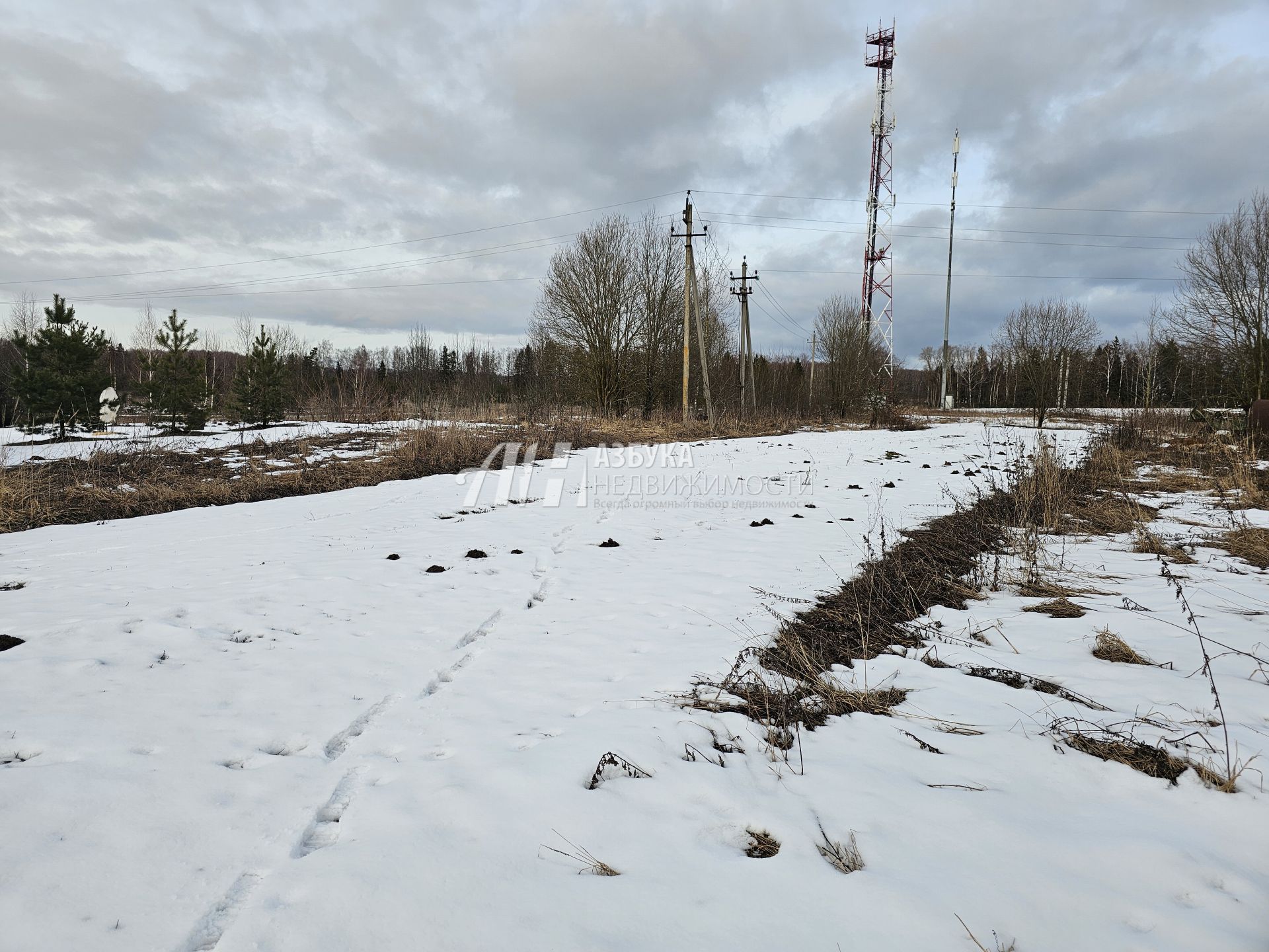  Московская область, Наро-Фоминский городской округ, деревня Митенино