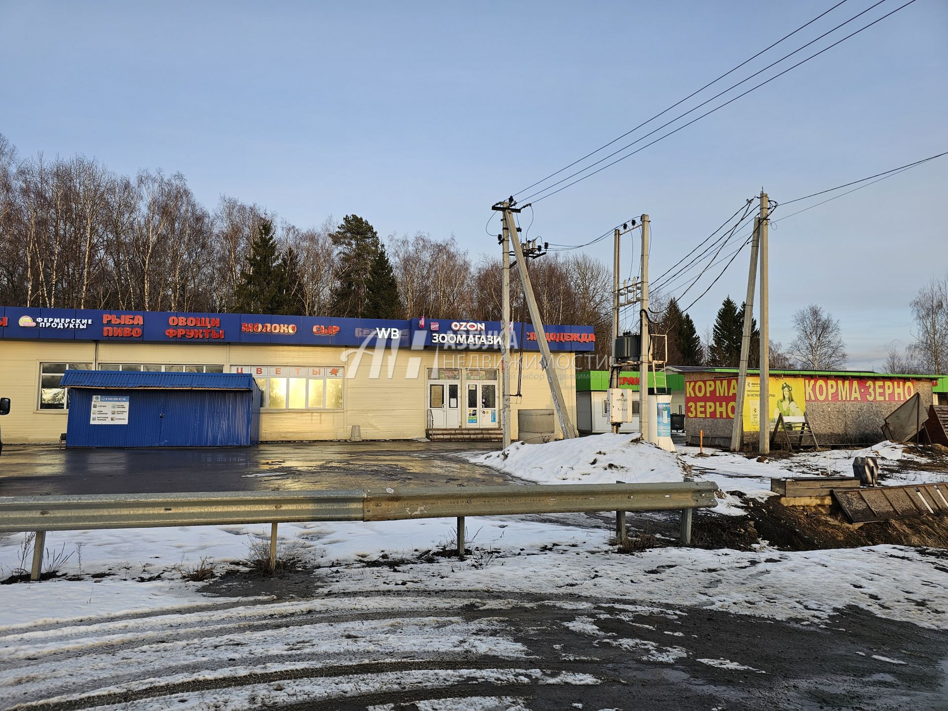  Московская область, Наро-Фоминский городской округ, деревня Митенино