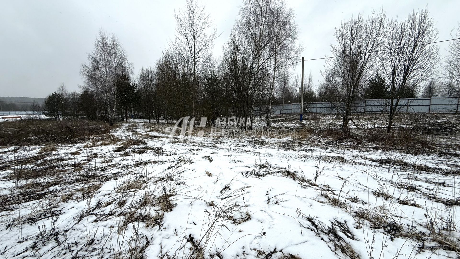 Земли поселения Московская область, городской округ Красногорск, село Дмитровское, коттеджный посёлок Николина Поляна, Луговая улица