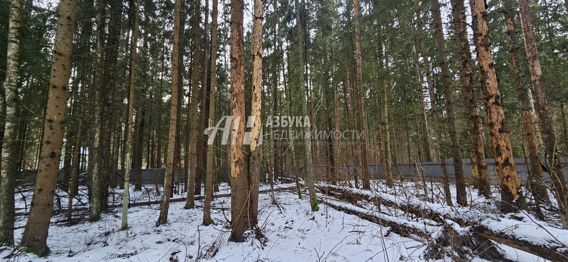Земли поселения Московская область, Одинцовский городской округ, посёлок Анашкино, улица Земляничная Поляна