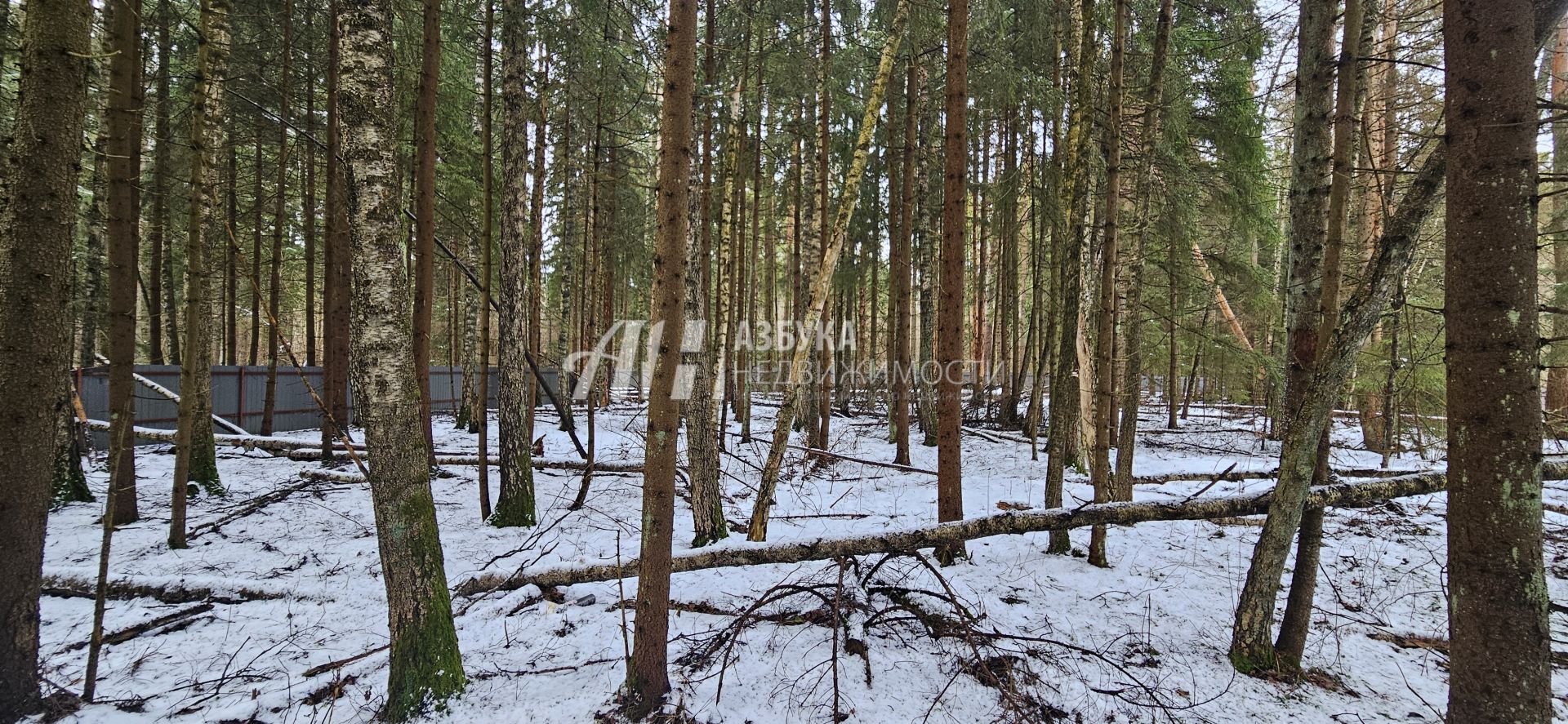 Земли поселения Московская область, Одинцовский городской округ, посёлок Анашкино, улица Земляничная Поляна