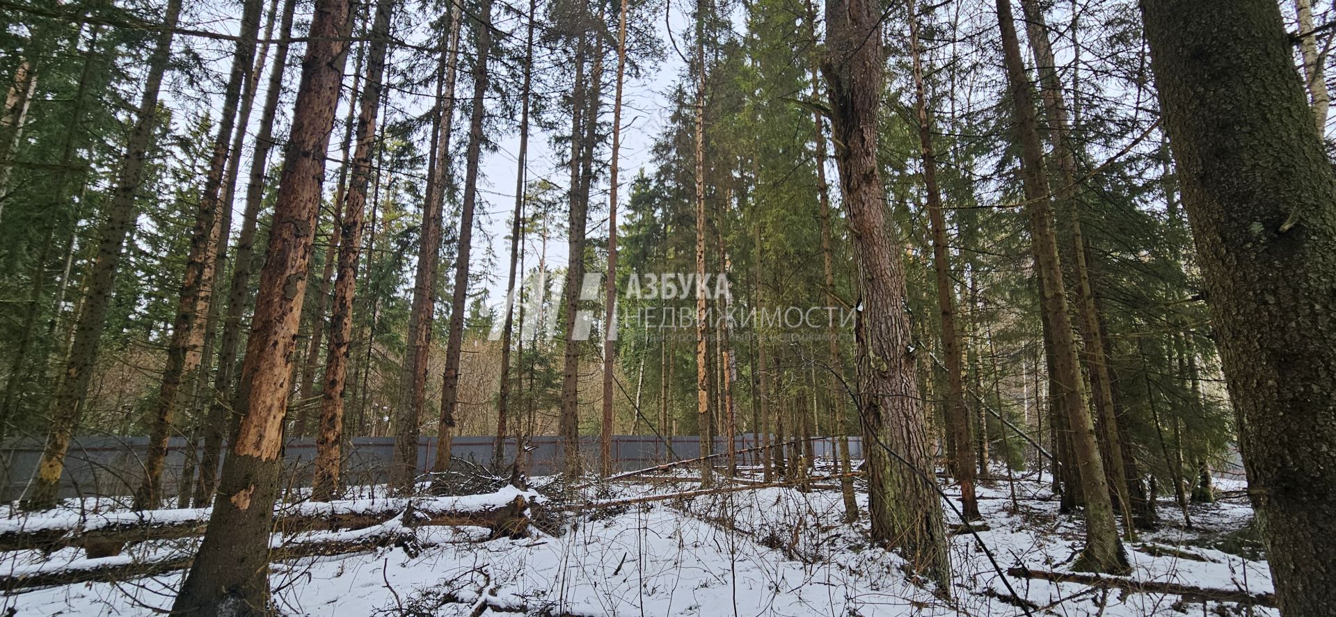 Земли поселения Московская область, Одинцовский городской округ, посёлок Анашкино, улица Земляничная Поляна
