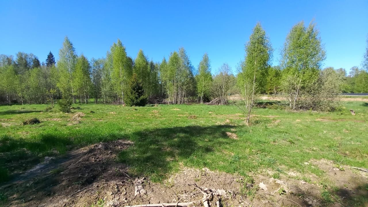 Земли сельхозназначения Московская область, муниципальный округ Истра, деревня Алёхново