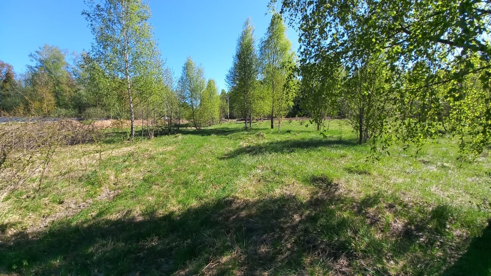 Земли сельхозназначения Московская область, муниципальный округ Истра, деревня Алёхново, Богородицкая улица