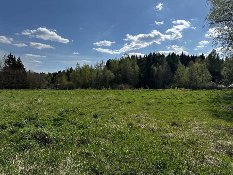 Земли поселения Московская область, городской округ Мытищи, село Марфино, посёлок Новое Марфино