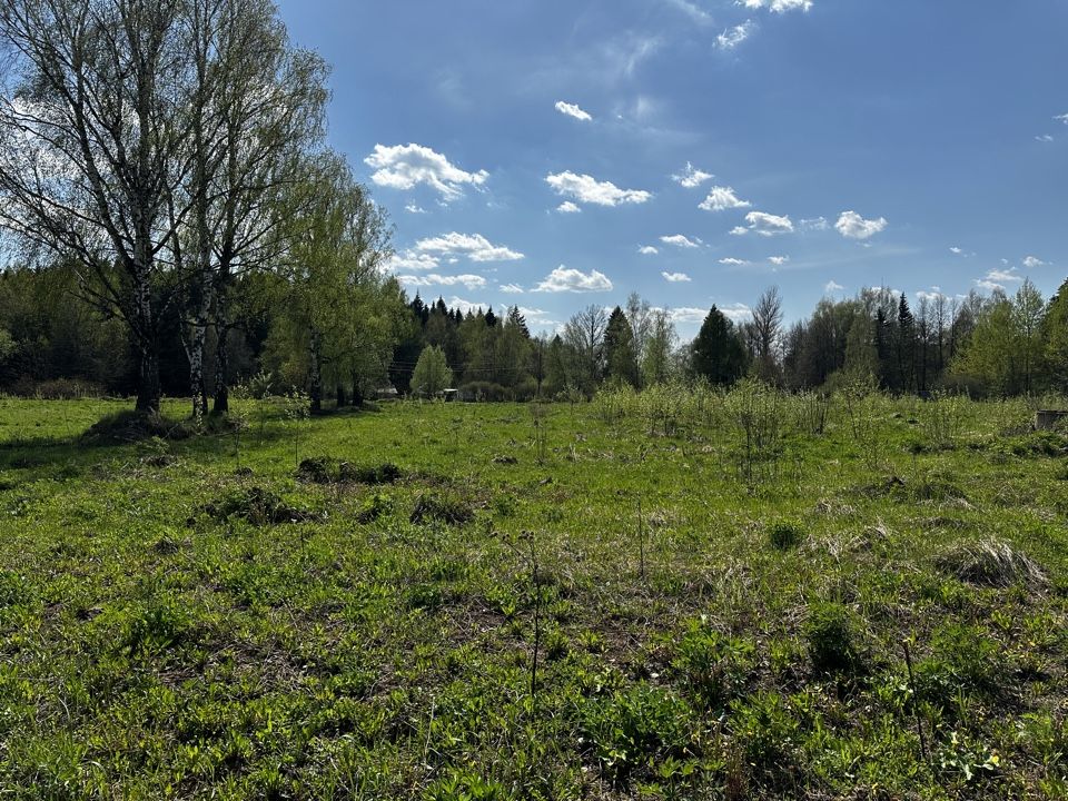 Земли поселения Московская область, городской округ Мытищи, село Марфино, посёлок Новое Марфино