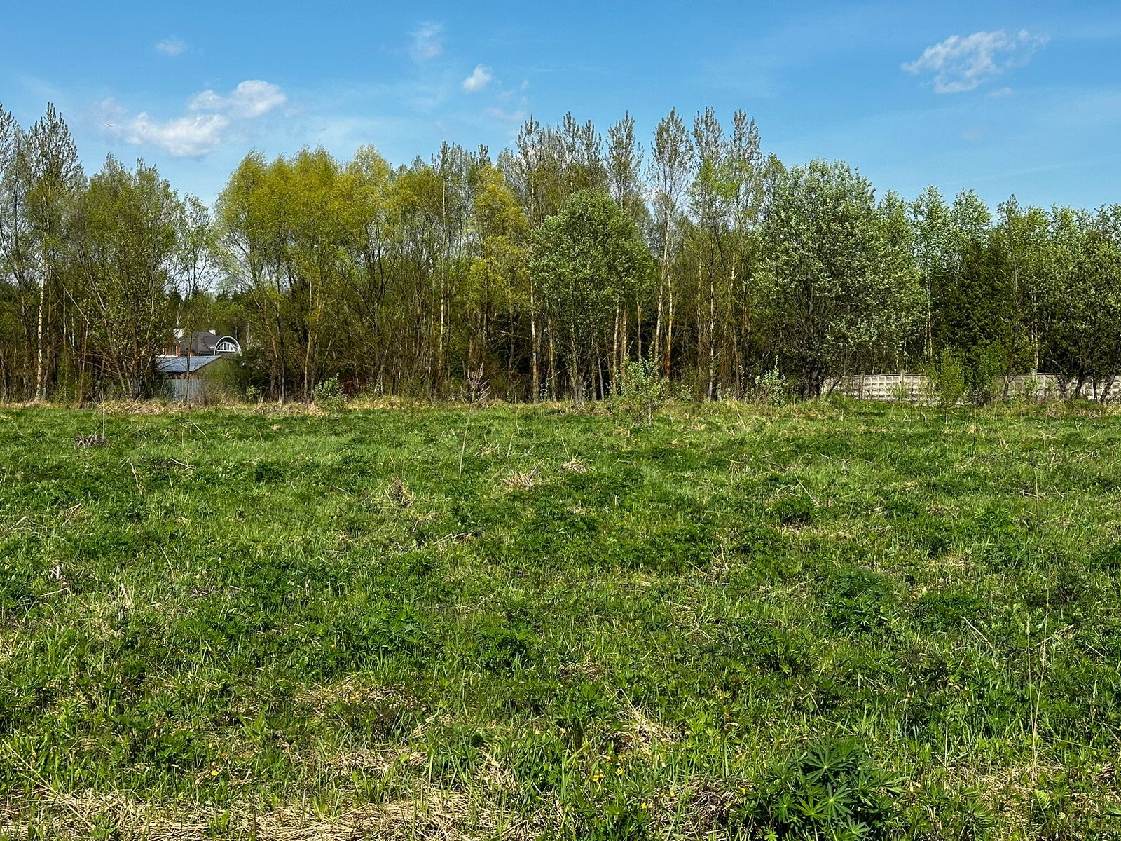Земли поселения Московская область, городской округ Мытищи, село Марфино, посёлок Новое Марфино