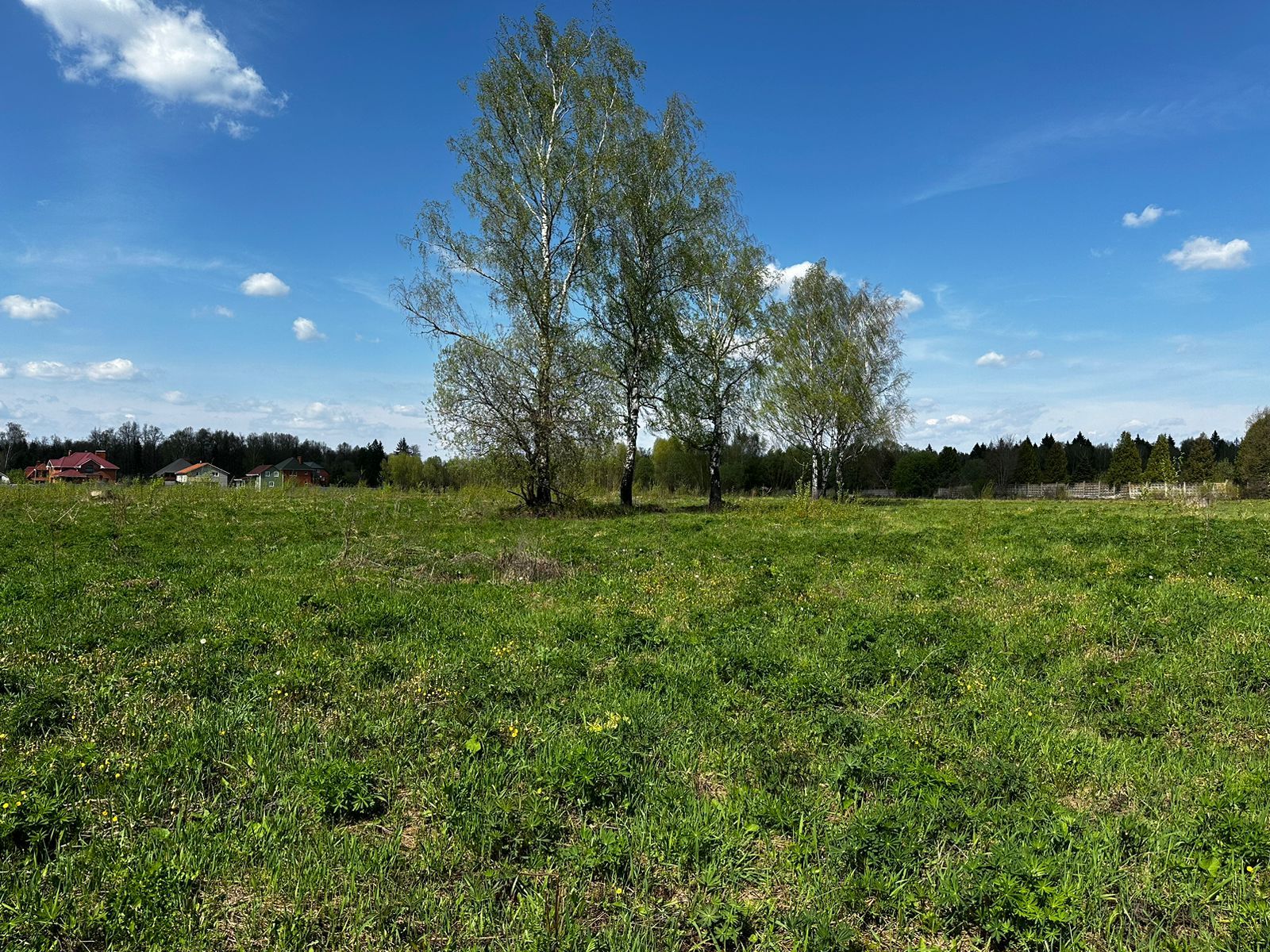 Земли поселения Московская область, городской округ Мытищи, село Марфино, посёлок Новое Марфино