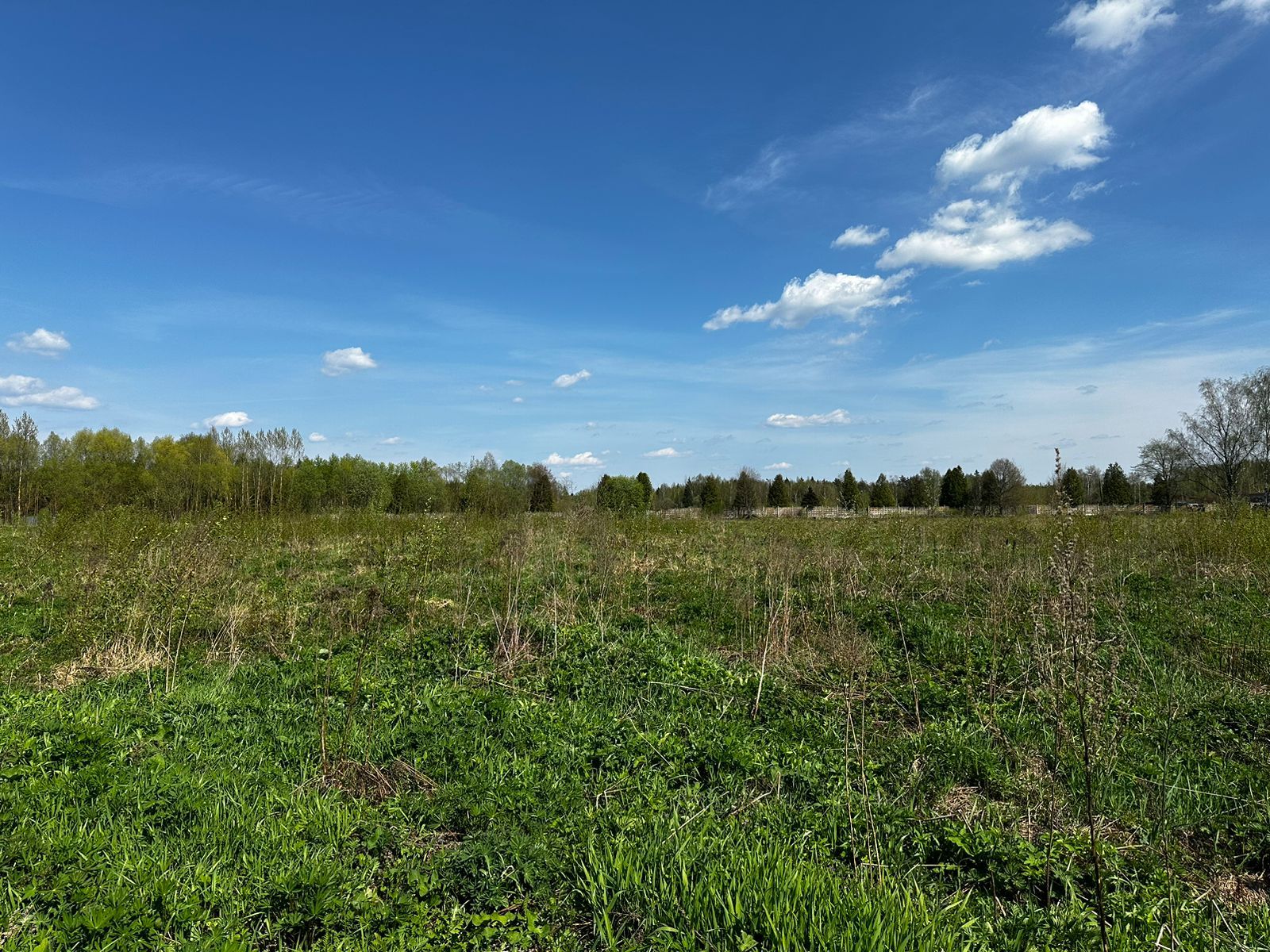 Земли поселения Московская область, городской округ Мытищи, село Марфино, посёлок Новое Марфино