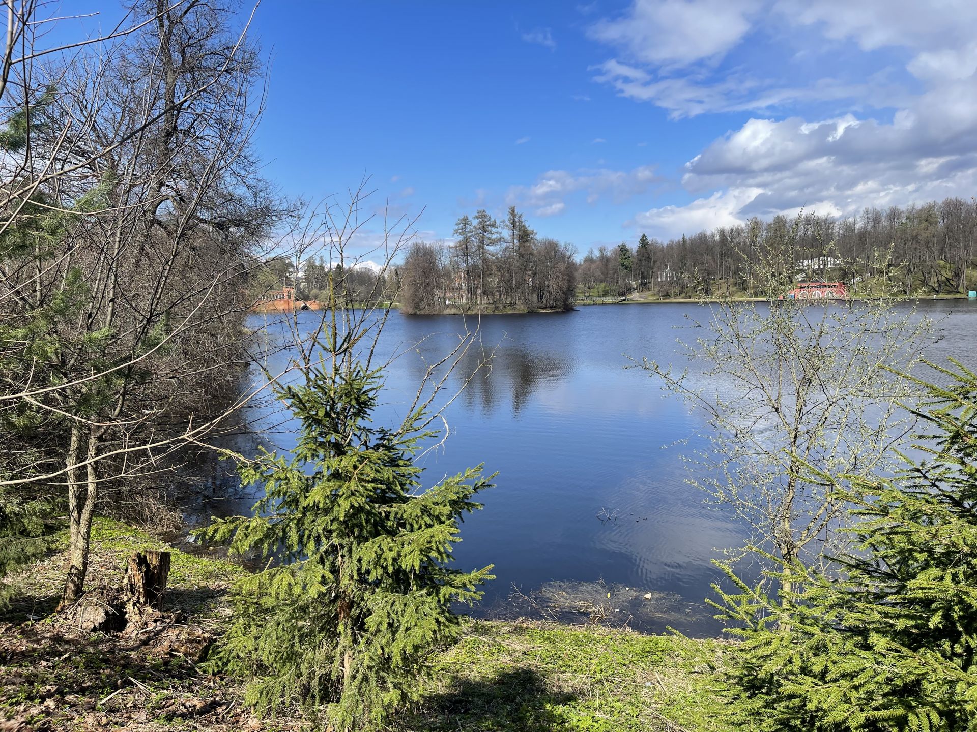 Земли поселения Московская область, городской округ Мытищи, село Марфино, посёлок Новое Марфино