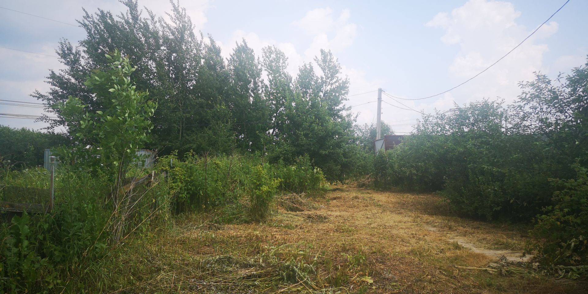 Земли поселения Московская область, городской округ Мытищи, деревня Беляниново