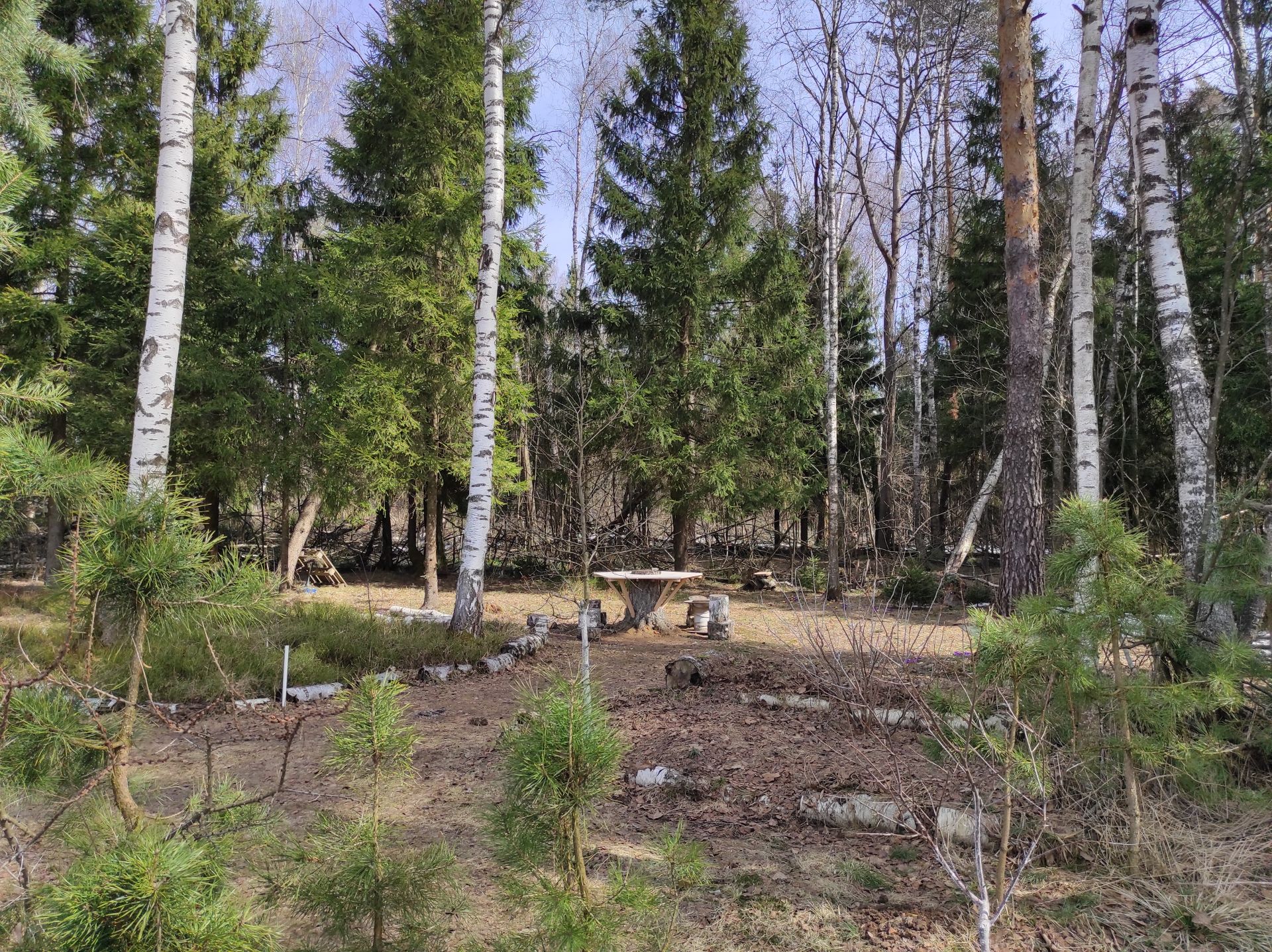 Земли поселения Московская область, Богородский городской округ, деревня  Кабаново, Ольховая улица – агентство недвижимости «Азбука недвижимости»  Москва и МО