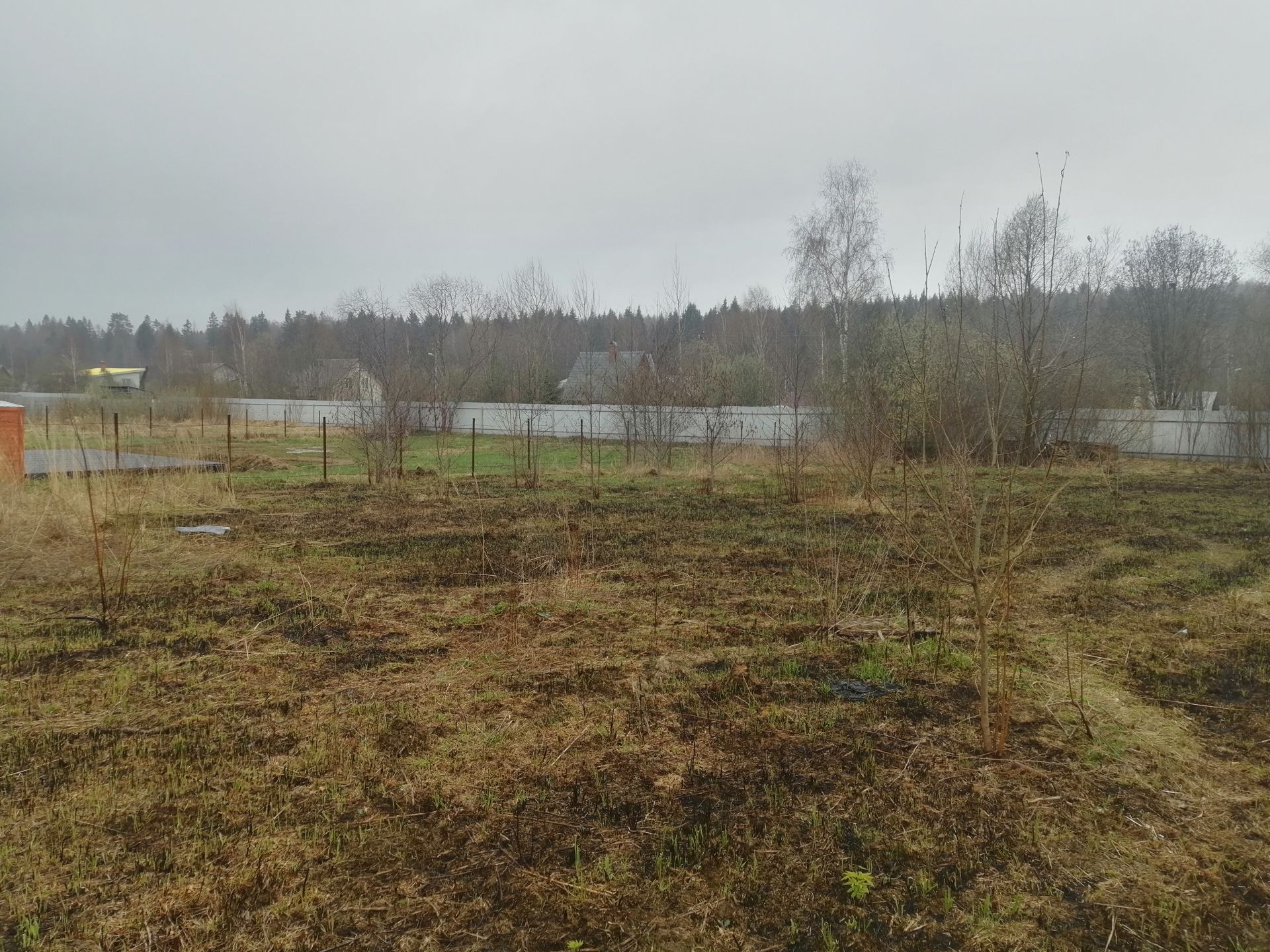 Земли сельхозназначения Московская область, городской округ Истра, СНТ  Грифон – агентство недвижимости «Азбука недвижимости» Москва и МО