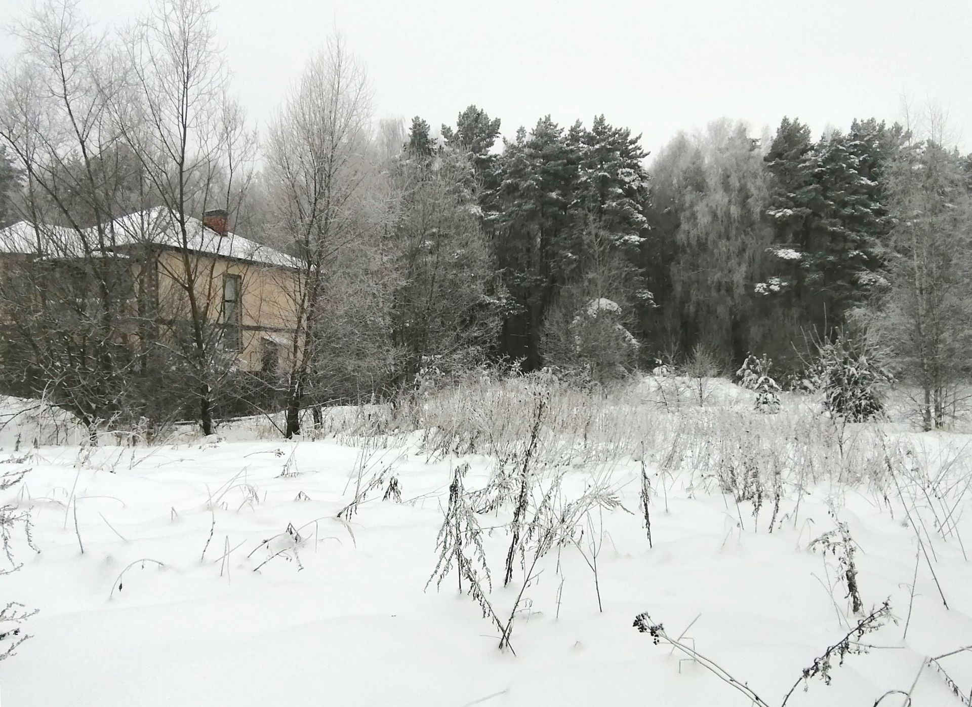 Земли поселения Московская область, Раменский городской округ, деревня  Лужки, Подлесная улица – агентство недвижимости «Азбука недвижимости»  Москва и МО