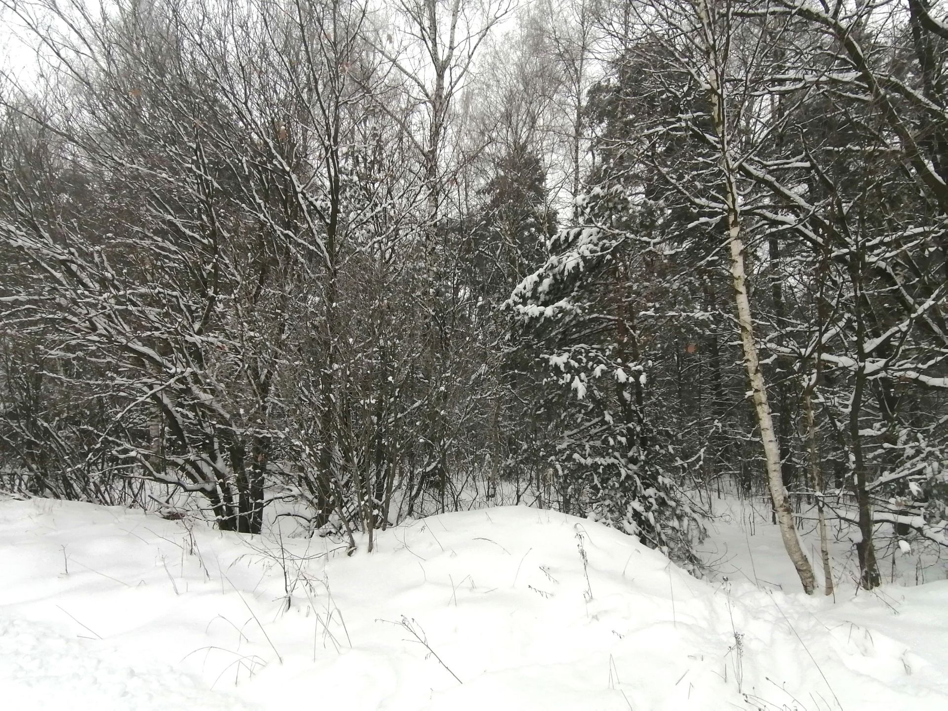 Земли поселения Московская область, Раменский городской округ, деревня  Устиновка, Весенняя улица – агентство недвижимости «Азбука недвижимости»  Москва и МО