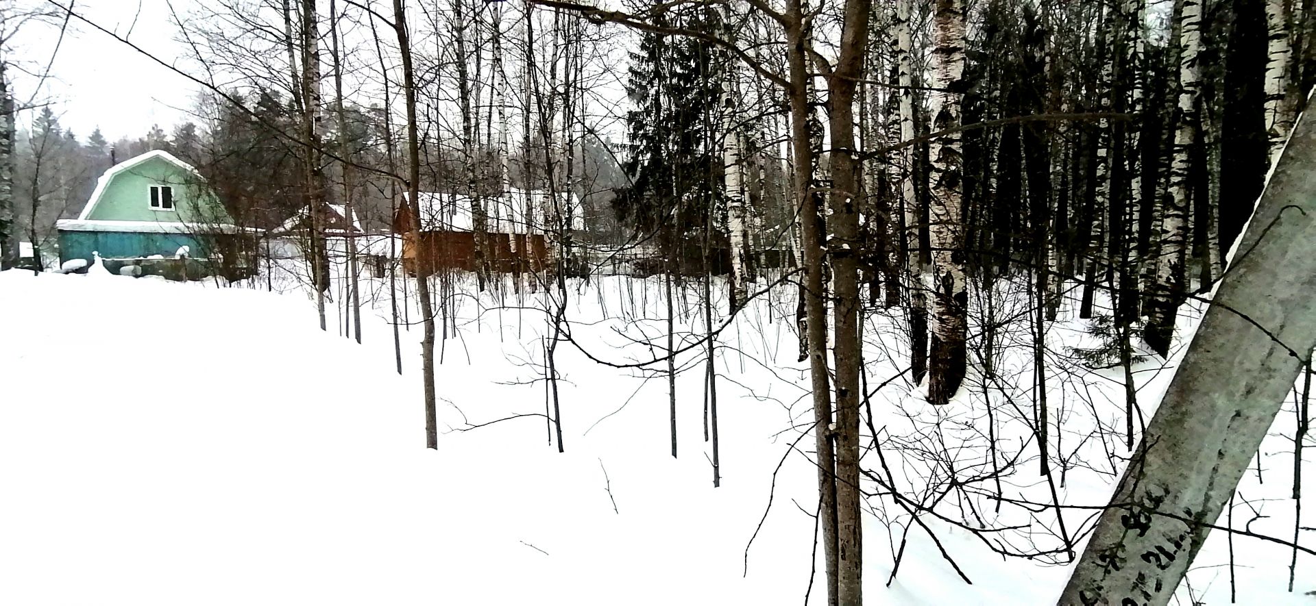 Земли поселения Московская область, городской округ Истра, садовое товарищество Ёлочки