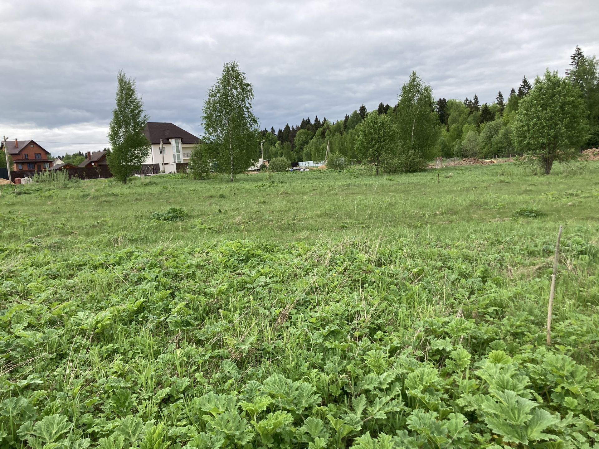 Походкино. Лупаново Московская область. Московская область, Дмитровский городской округ, Походкино деревня.