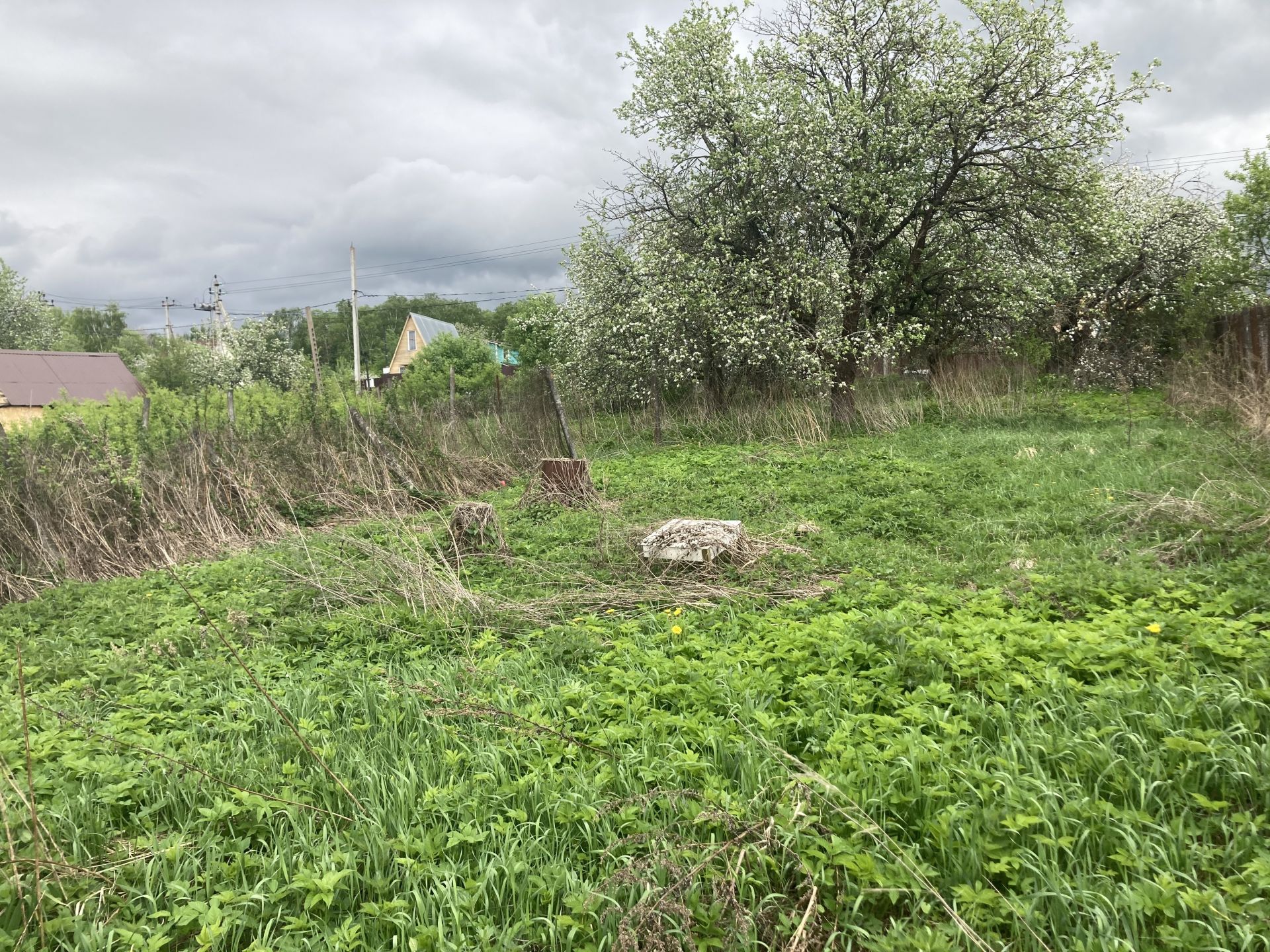 Подосинки дмитровского городского округа. Деревня Подосинки. Калужская область деревня Подосинки. Деревня Подосинки Тарусский район. Дмитровский городской округ, посёлок Подосинки, 4/1.