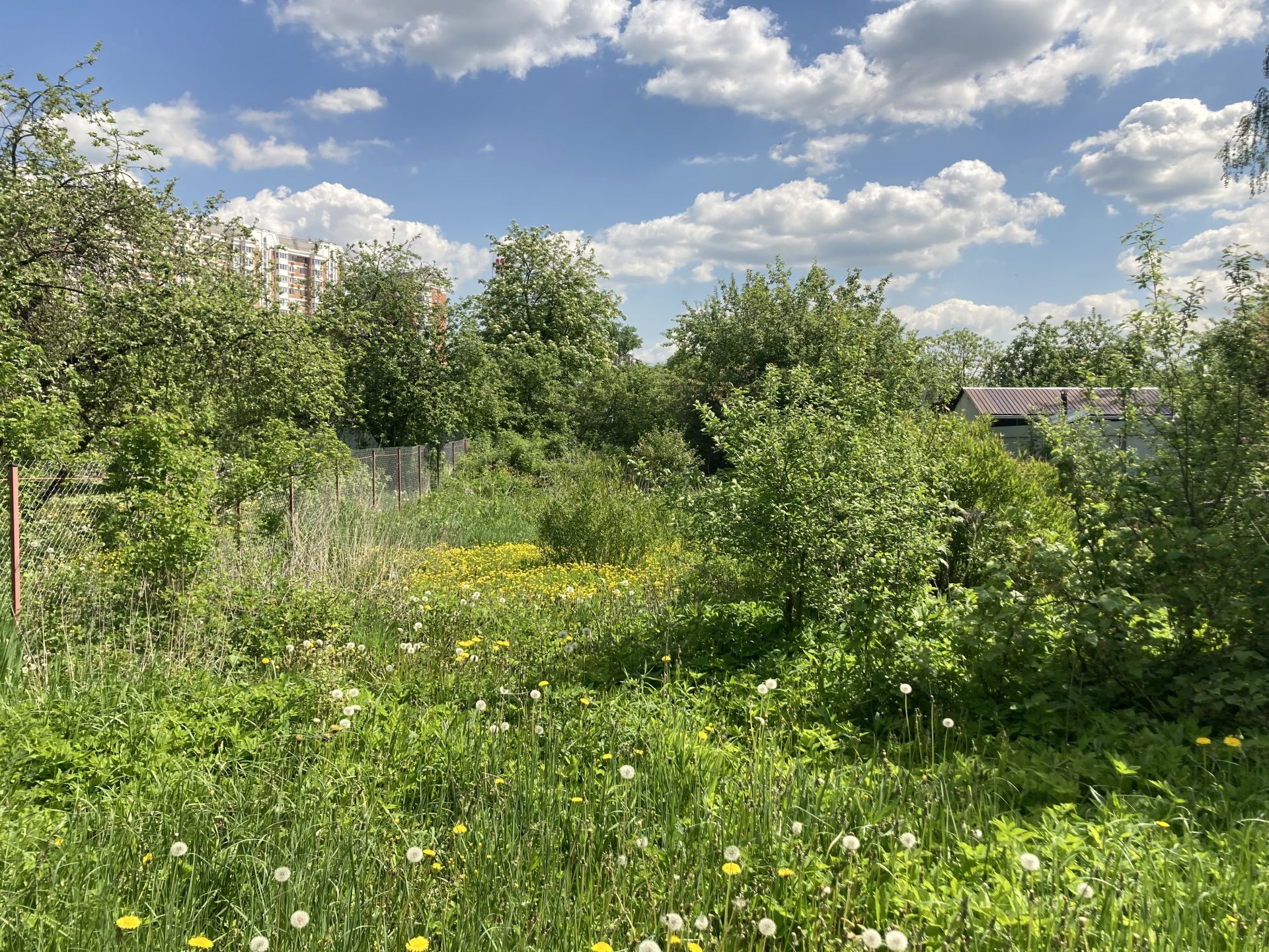 Городское поселение московский. СНТ Катюшки Лобня. Лобня ОНТ. ОНТ Катюшки купить участок.