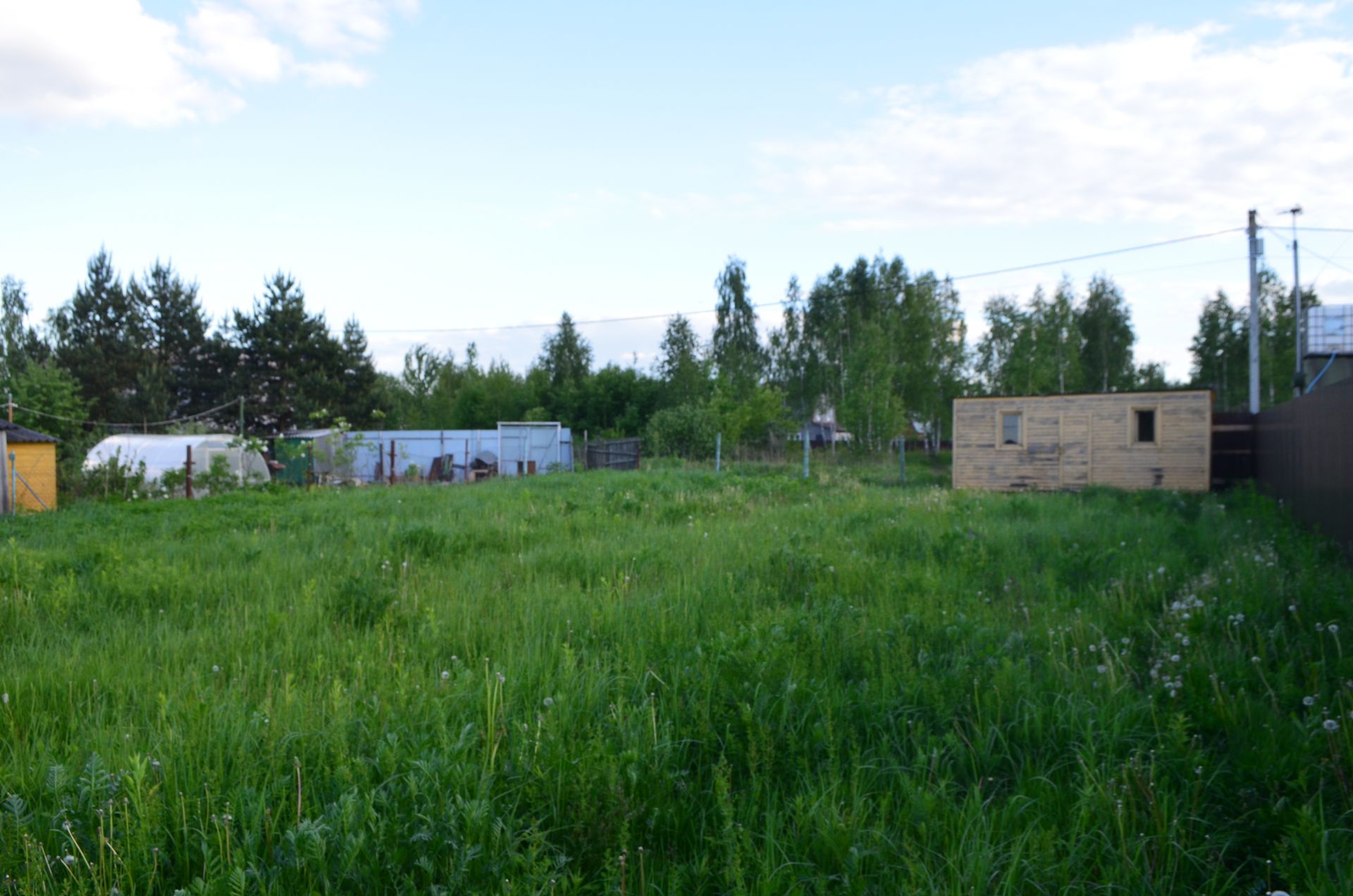 Земли поселения Московская область, городской округ Щёлково, СПК Простор