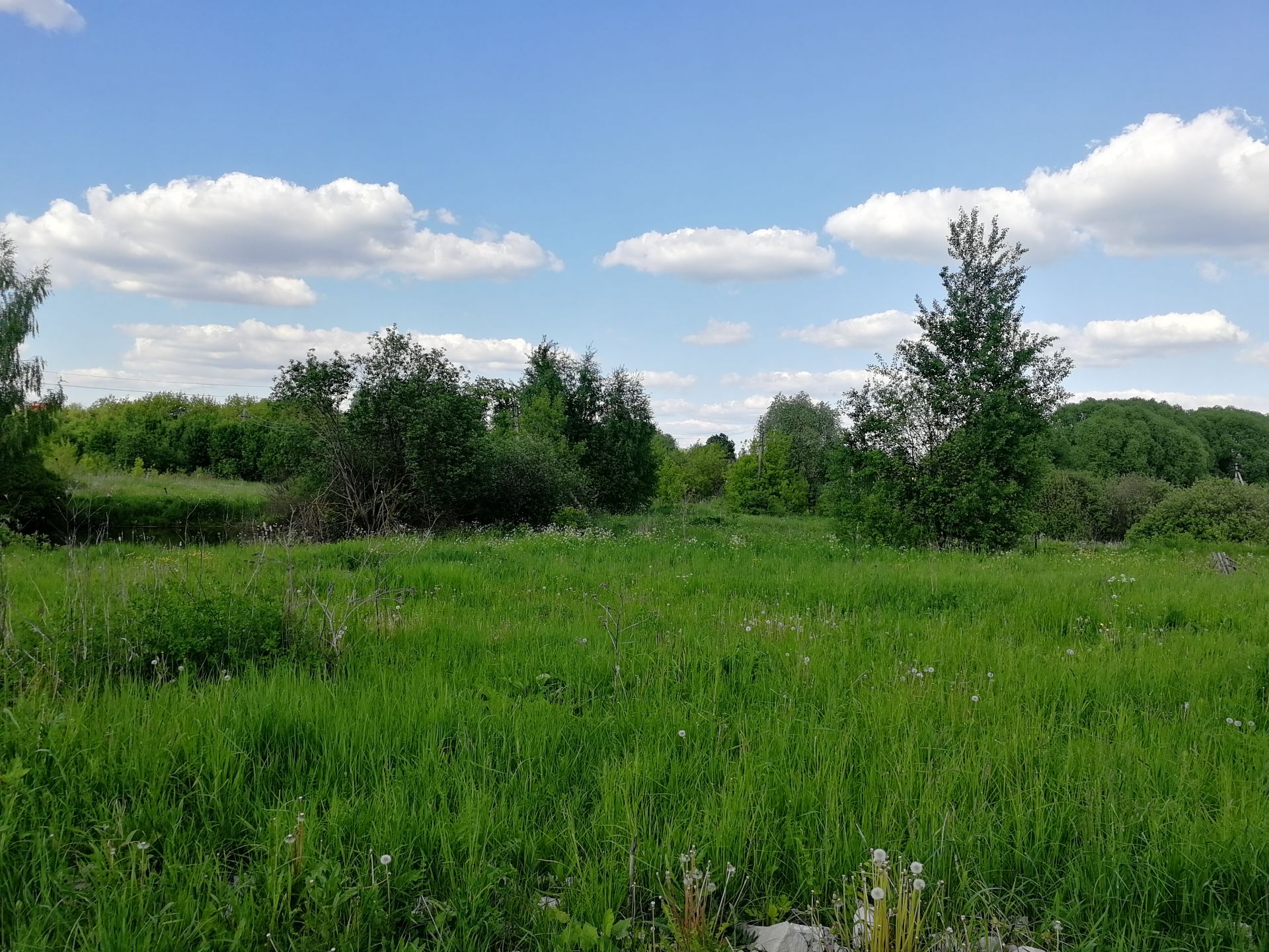 Участки в городе туле. Г Домодедово деревня Кучино. Домодедово деревня Кучино Википедия фотографии.