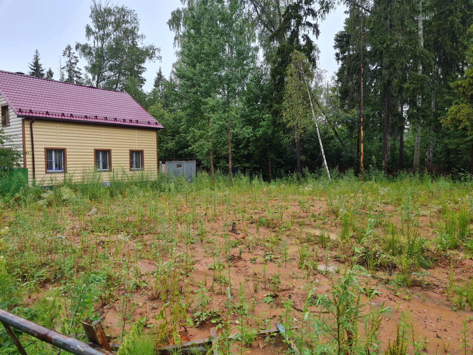 Земли сельхозназначения Московская область, городской округ Солнечногорск, садоводческое некоммерческое товарищество Природа  агентство недвижимости Азбука недвижимости Москва и МО