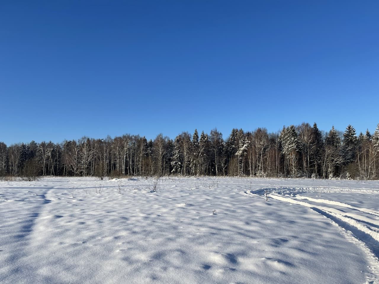 Земли поселения Московская область, городской округ Мытищи, село ...