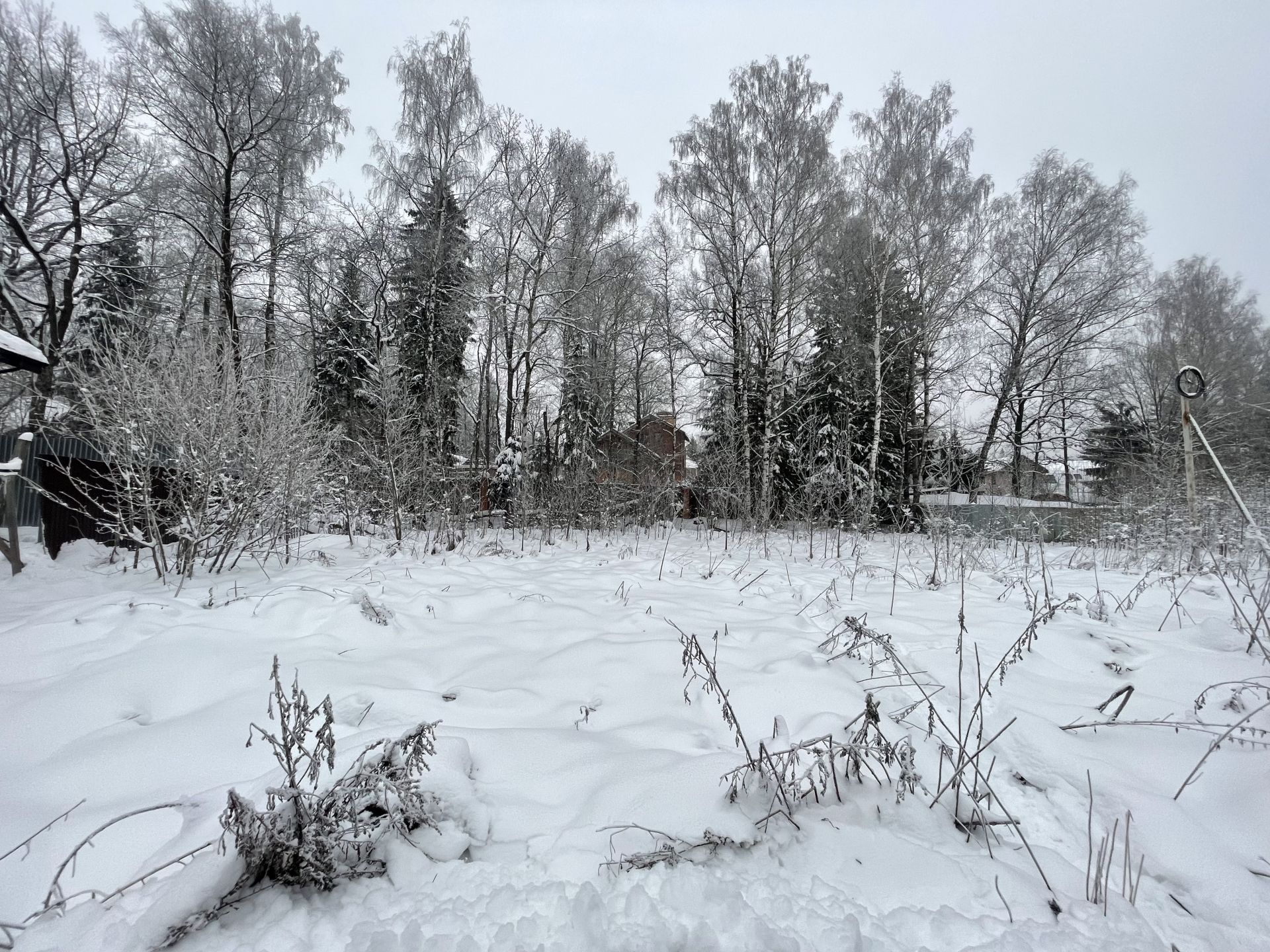 Земли сельхозназначения Московская область, городской округ Мытищи, деревня  Беляниново – агентство недвижимости «Азбука недвижимости» Москва и МО