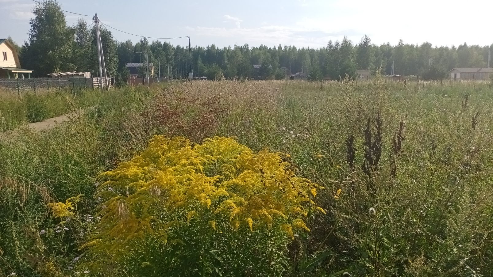 Земли поселения Московская область, городской округ Павловский Посад,  деревня Кузнецы, коттеджный посёлок Кузнецы-3 – агентство недвижимости  «Азбука недвижимости» Москва и МО