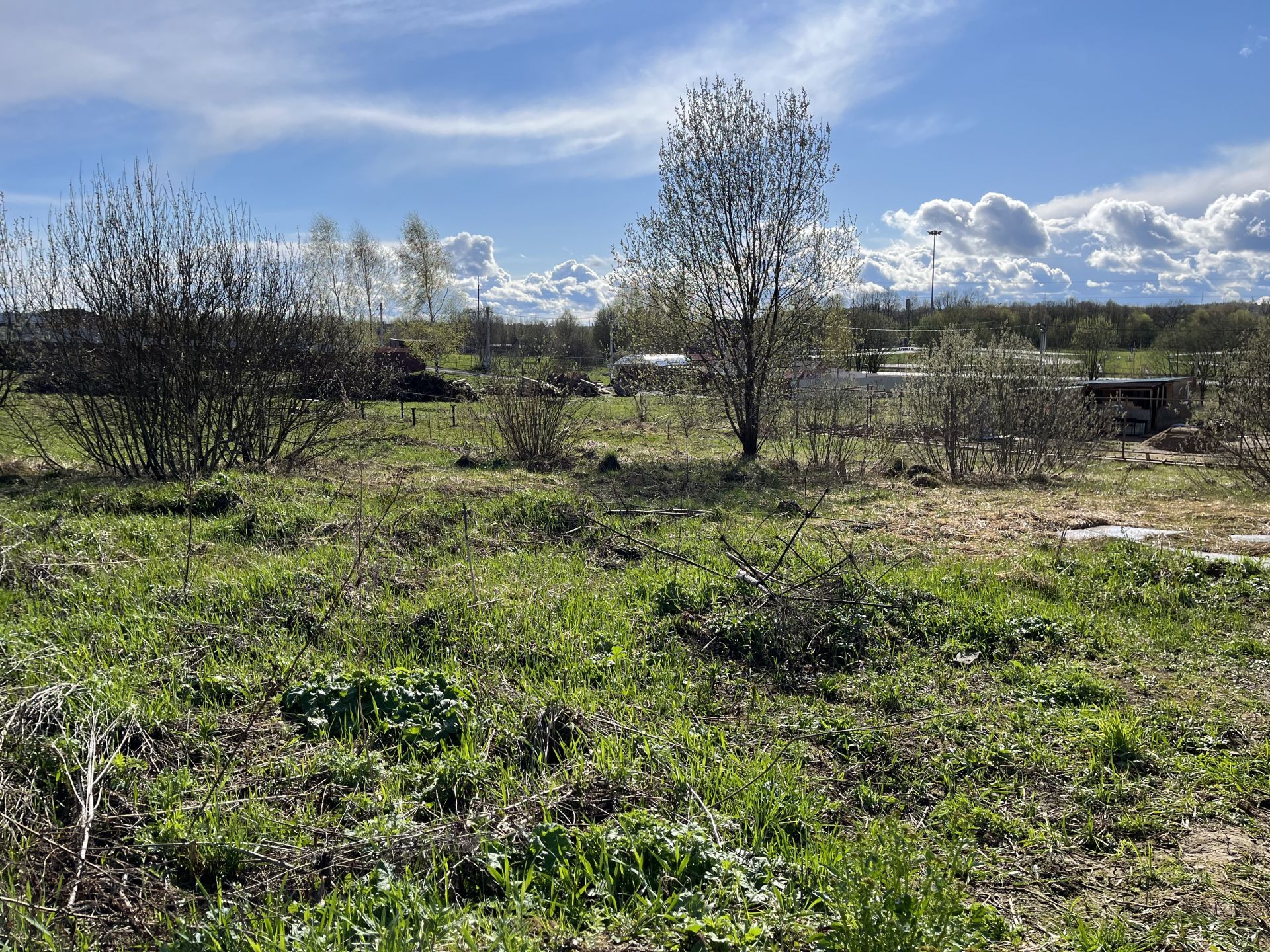 Земли сельхозназначения Московская область, Дмитровский городской округ,  село Игнатово – агентство недвижимости «Азбука недвижимости» Москва и МО