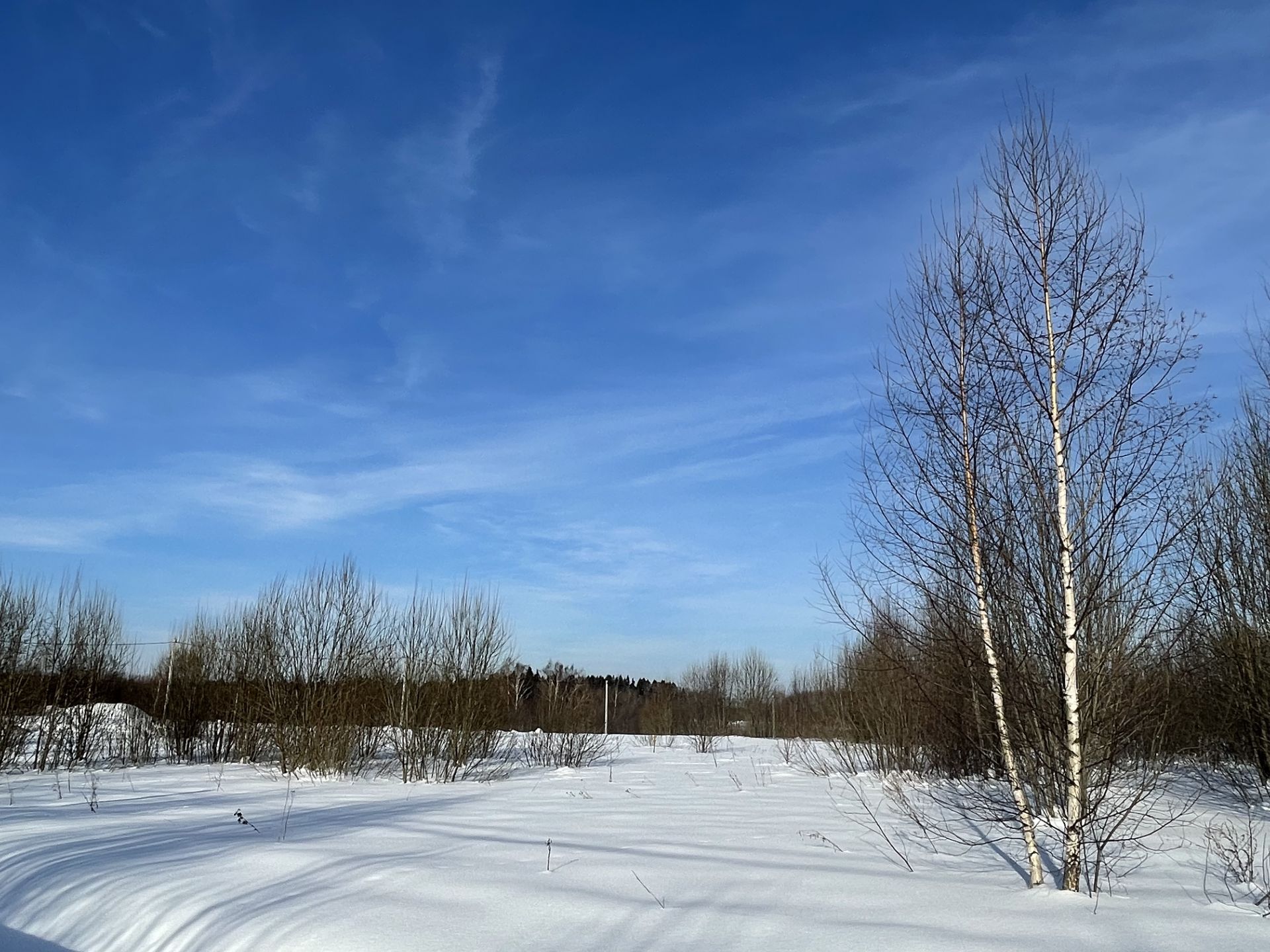 Земли сельхозназначения Московская область, Дмитровский городской округ,  коттеджный посёлок Морозовский Уезд – агентство недвижимости «Азбука  недвижимости» Москва и МО