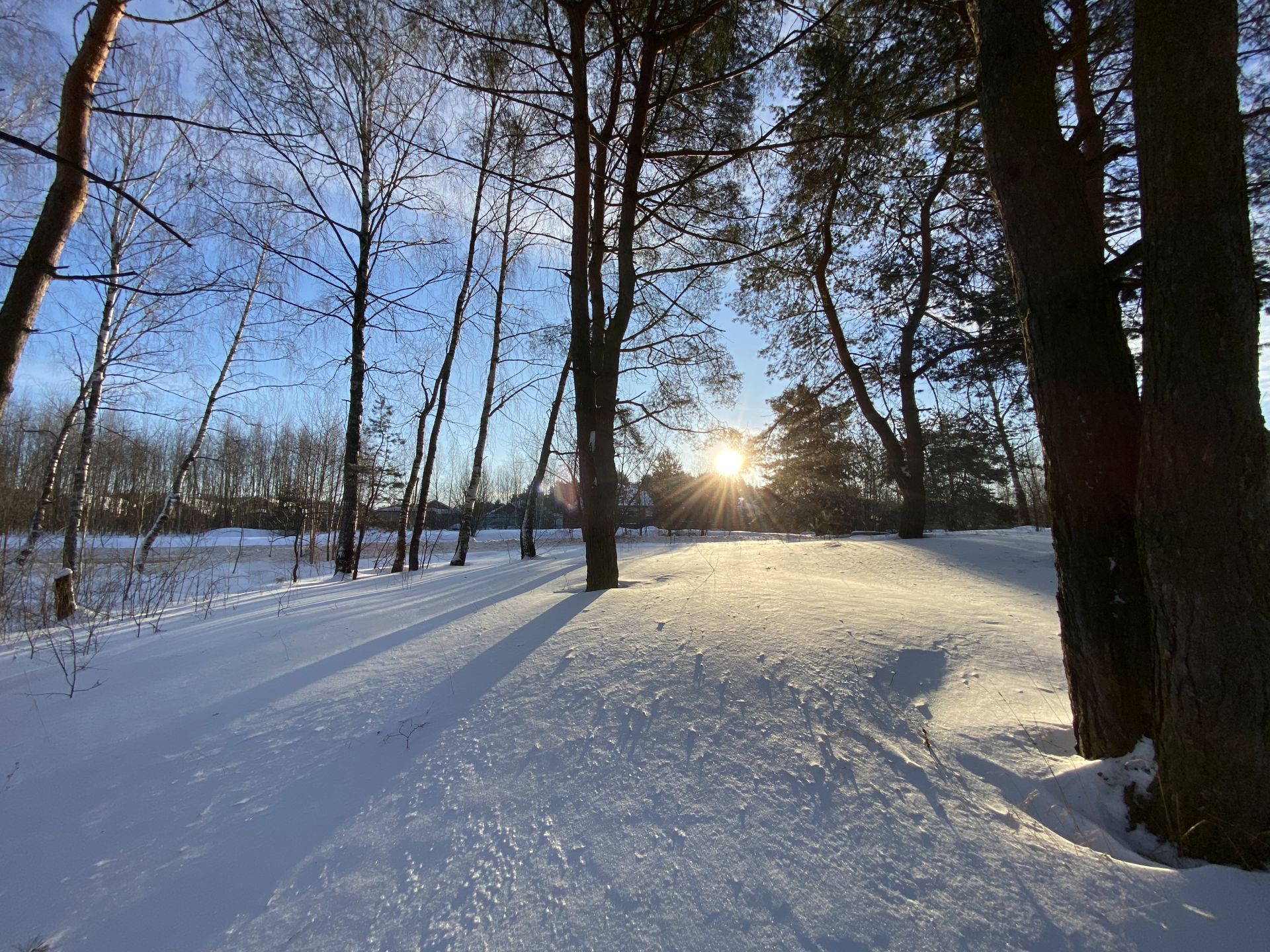 Земли поселения Московская область, городской округ Истра, посёлок Станция  Павловская Слобода – агентство недвижимости «Азбука недвижимости» Москва и  МО