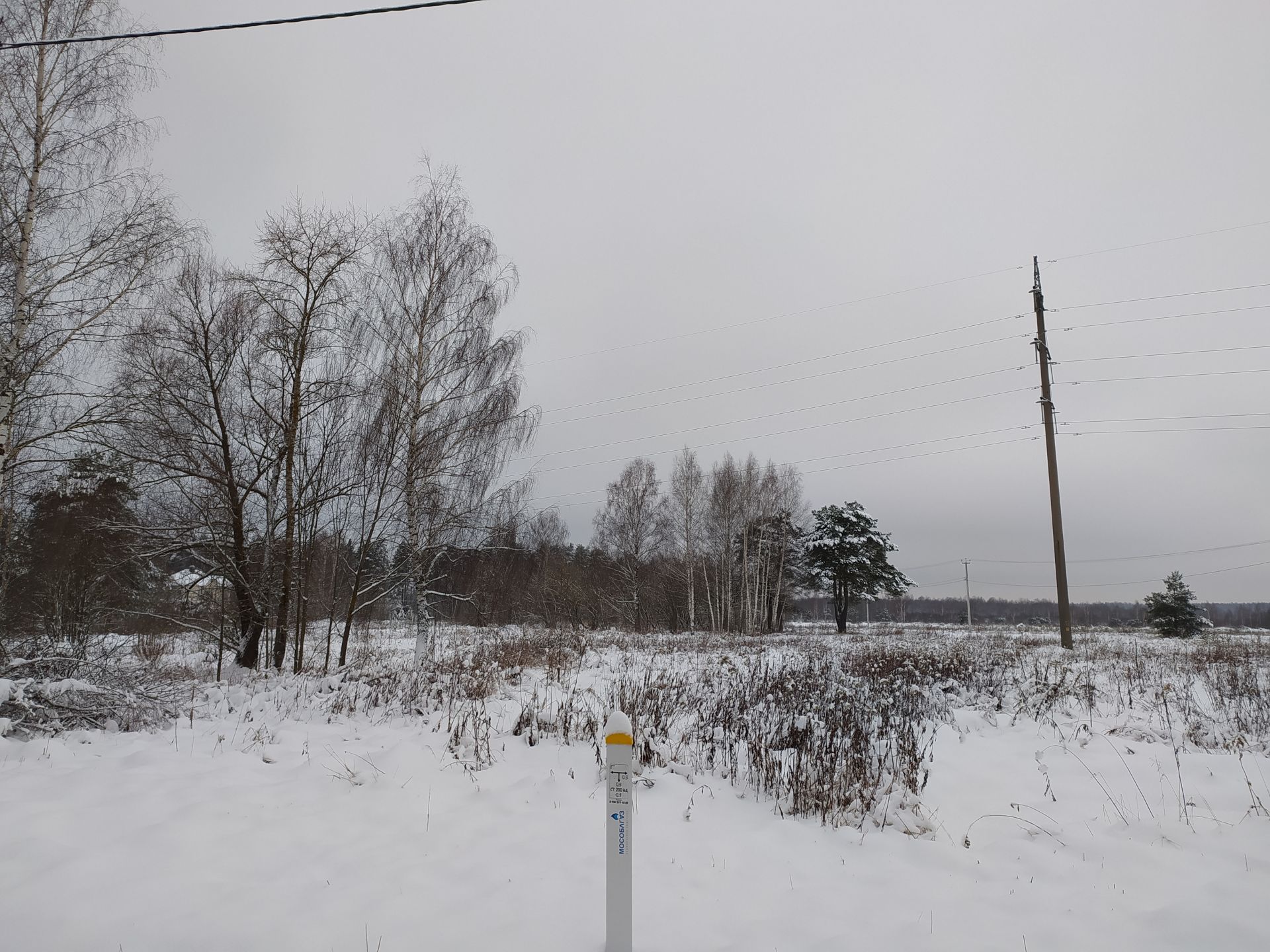 Богородский городской округ карта