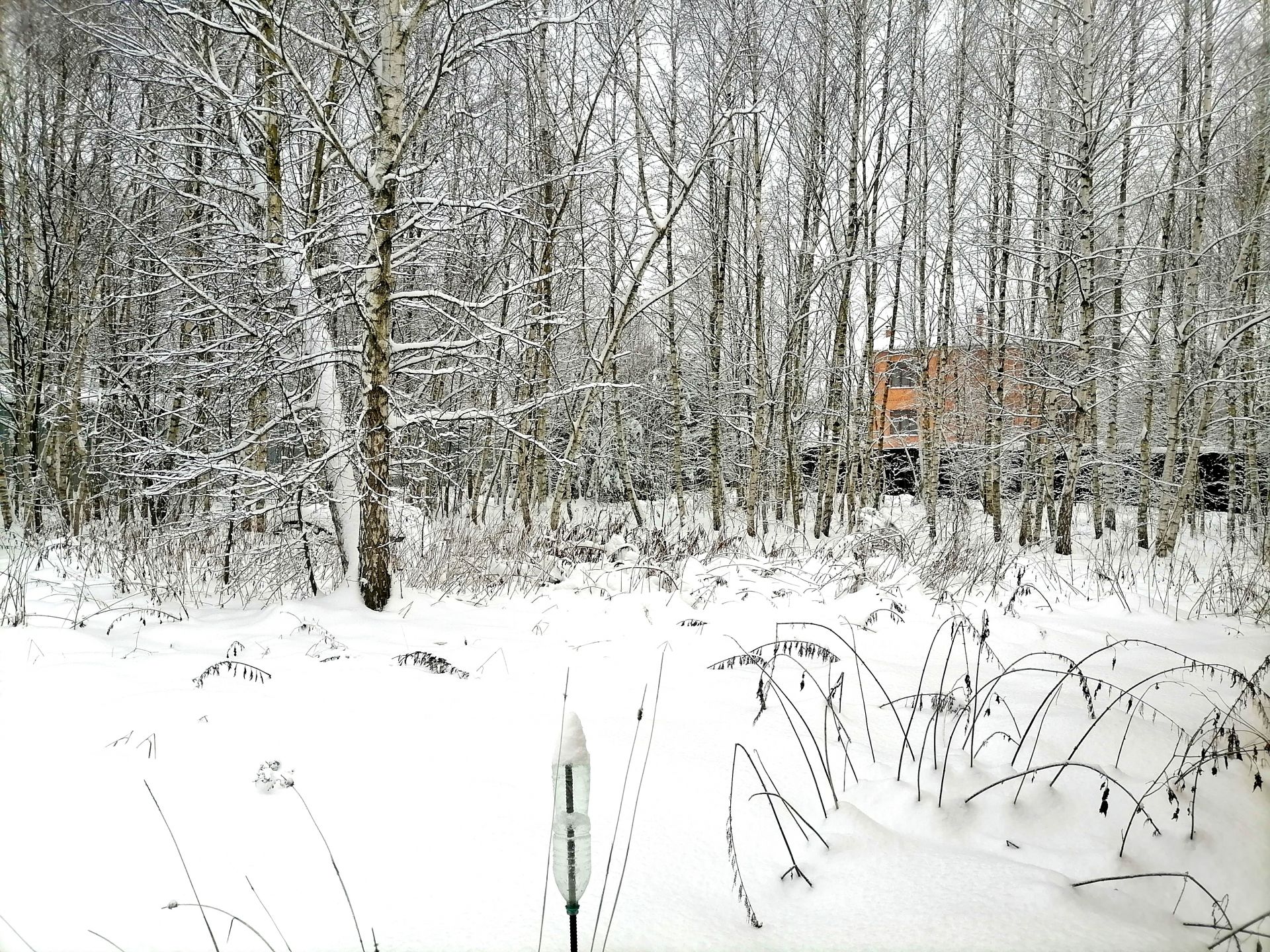 Земли поселения Московская область, Раменский городской округ, деревня Осеченки, Дачная улица