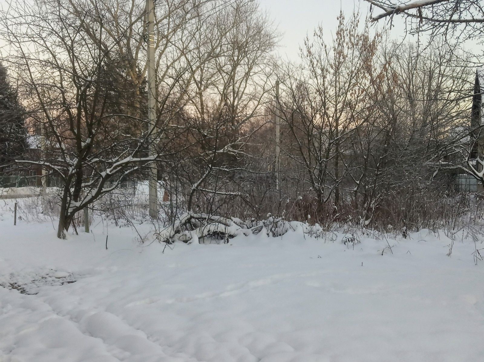 Земли поселения Московская область, Ленинский городской округ, село