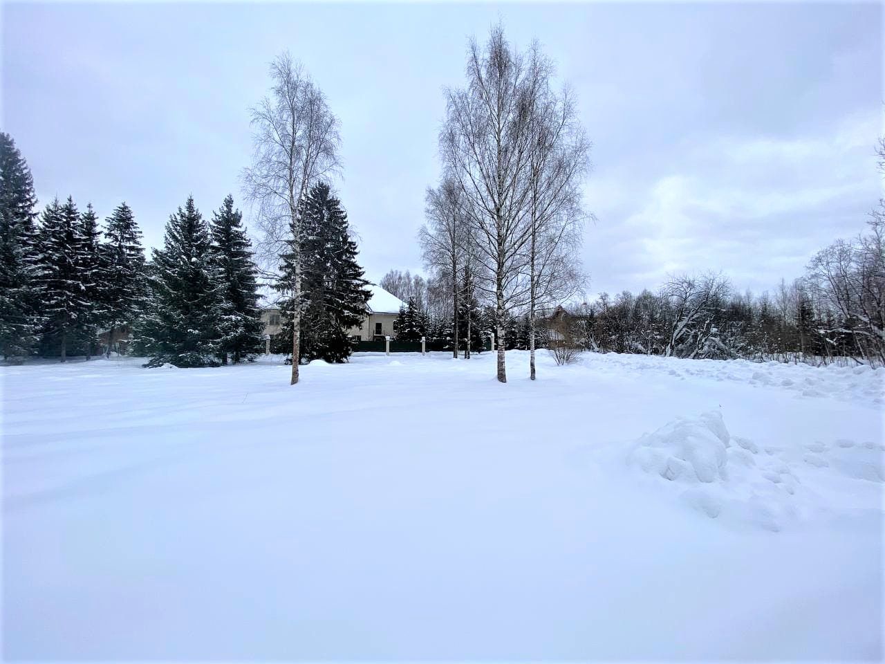 Земли поселения Московская область, городской округ Истра, деревня Лисавино