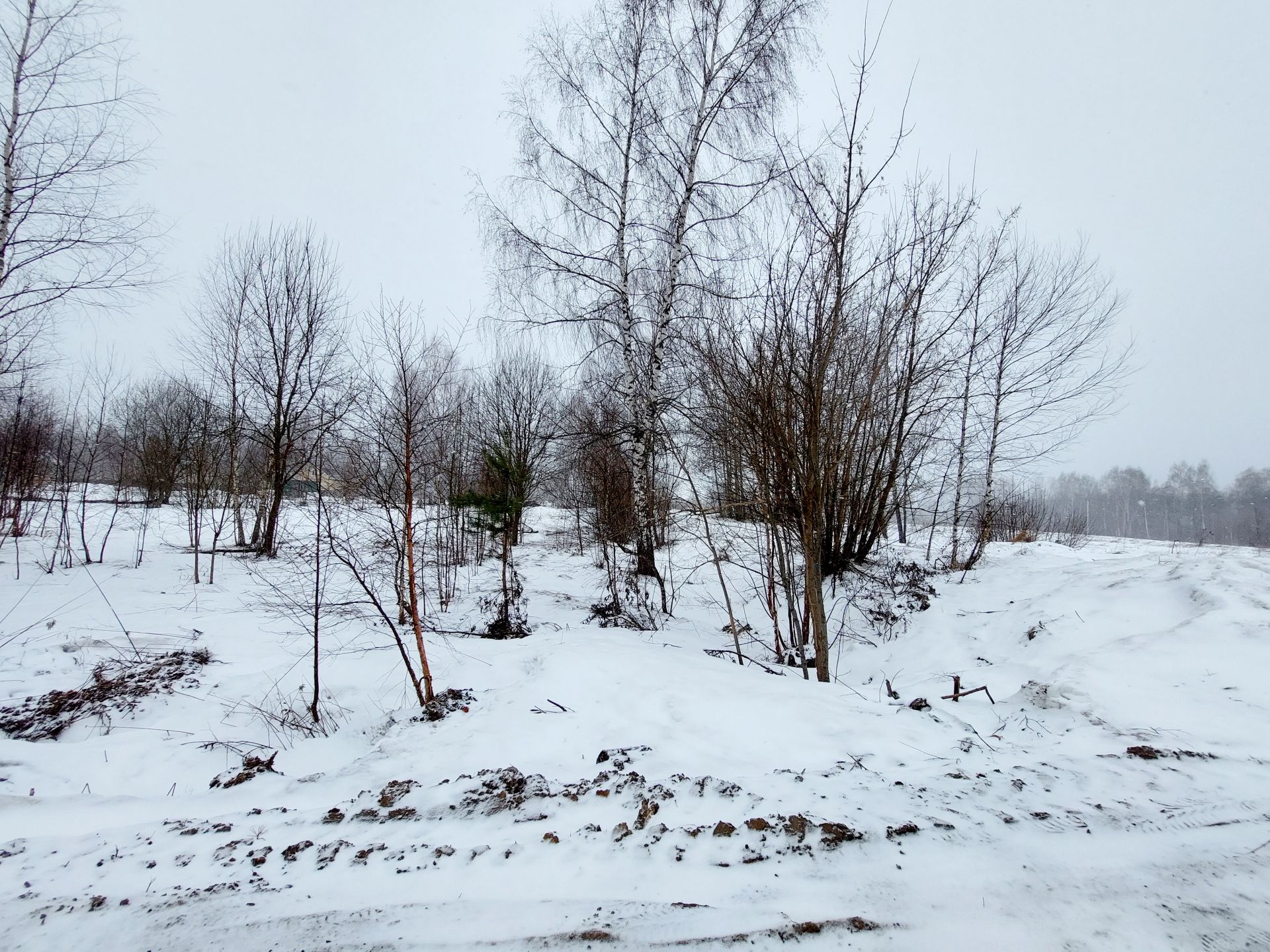 Купить Участок В Молзино Ногинский Район