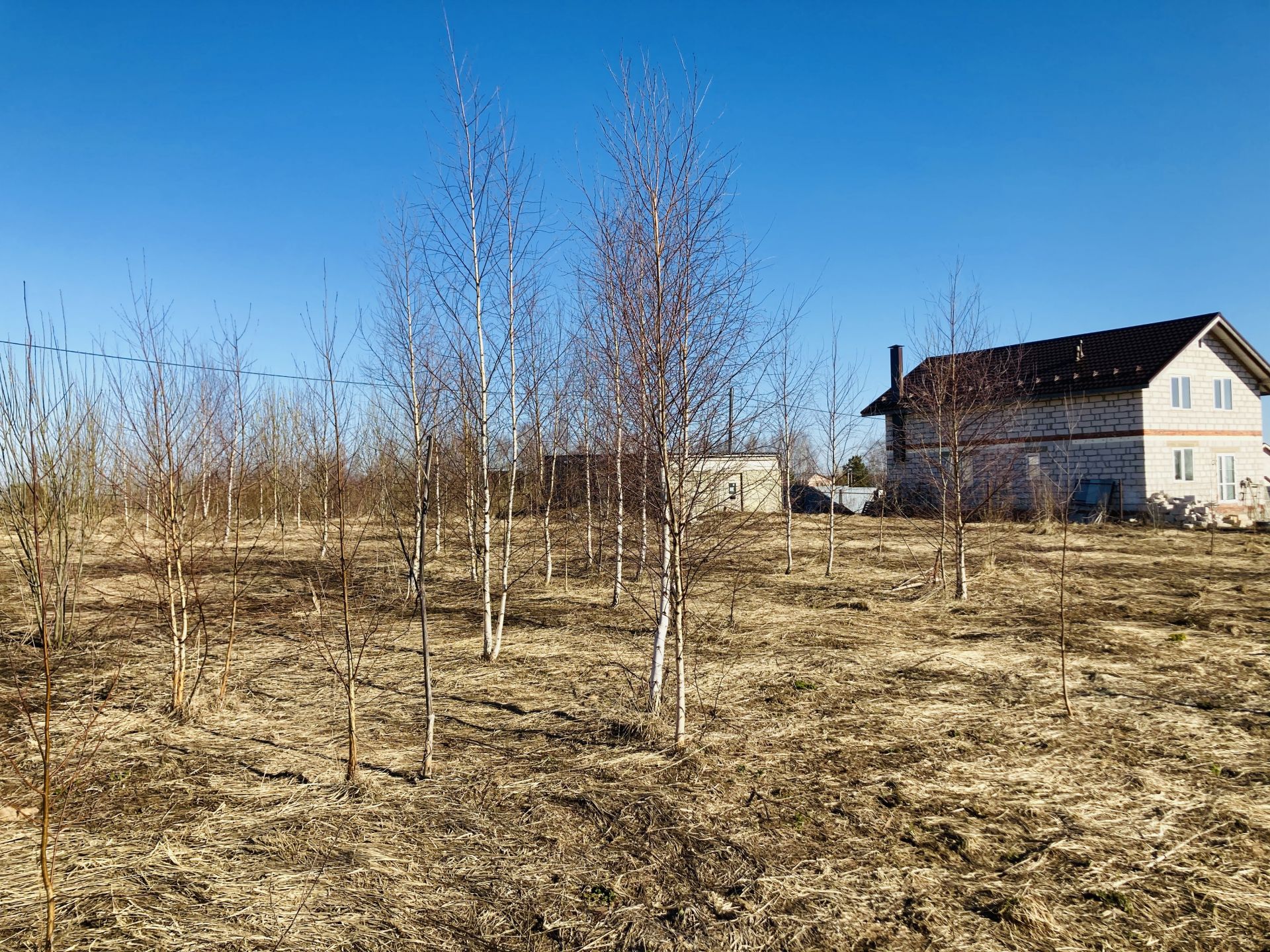 московская область дмитровский городской округ белый раст село фото 92