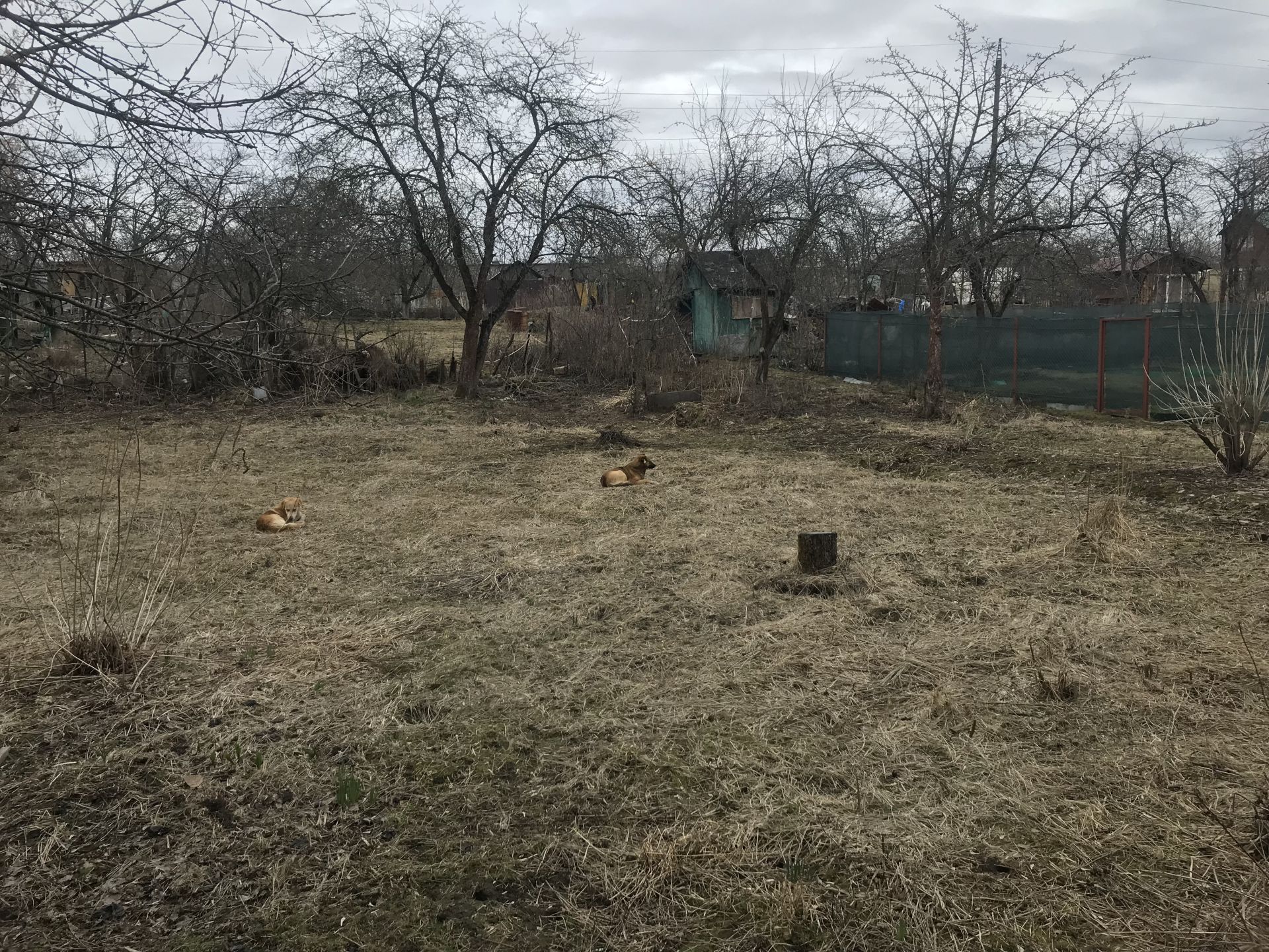 Земли сельхозназначения Московская область, Богородский городской округ,  Ногинск, СНТ МОГЭС – агентство недвижимости «Азбука недвижимости» Москва и  МО