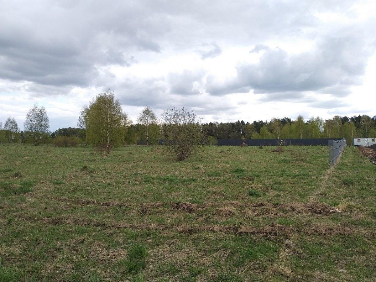 Городской округ истра деревня. Участок земли. Земельный участок фото. Сотка земли. Деревня алёхново.