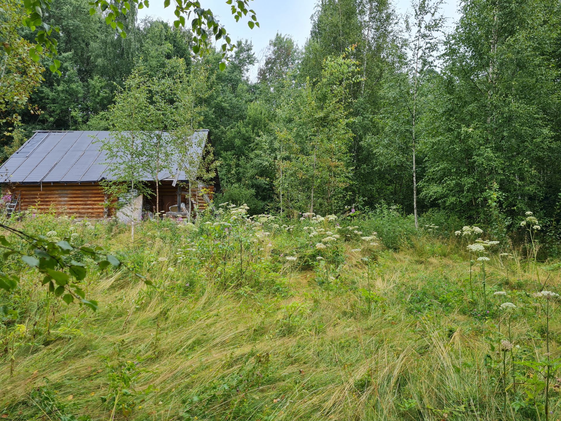 Земли поселения Московская область, городской округ Солнечногорск, село  Алабушево, микрорайон Дедёшино-10 – агентство недвижимости «Азбука  недвижимости» Москва и МО