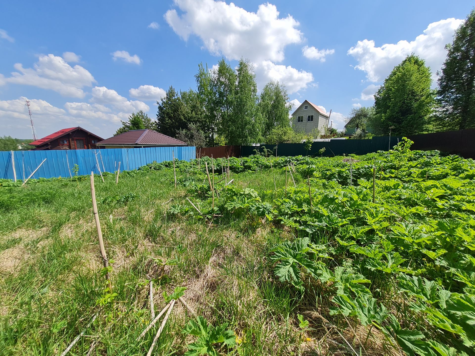 Земли поселения Московская область, Дмитровский городской округ, деревня Глазово