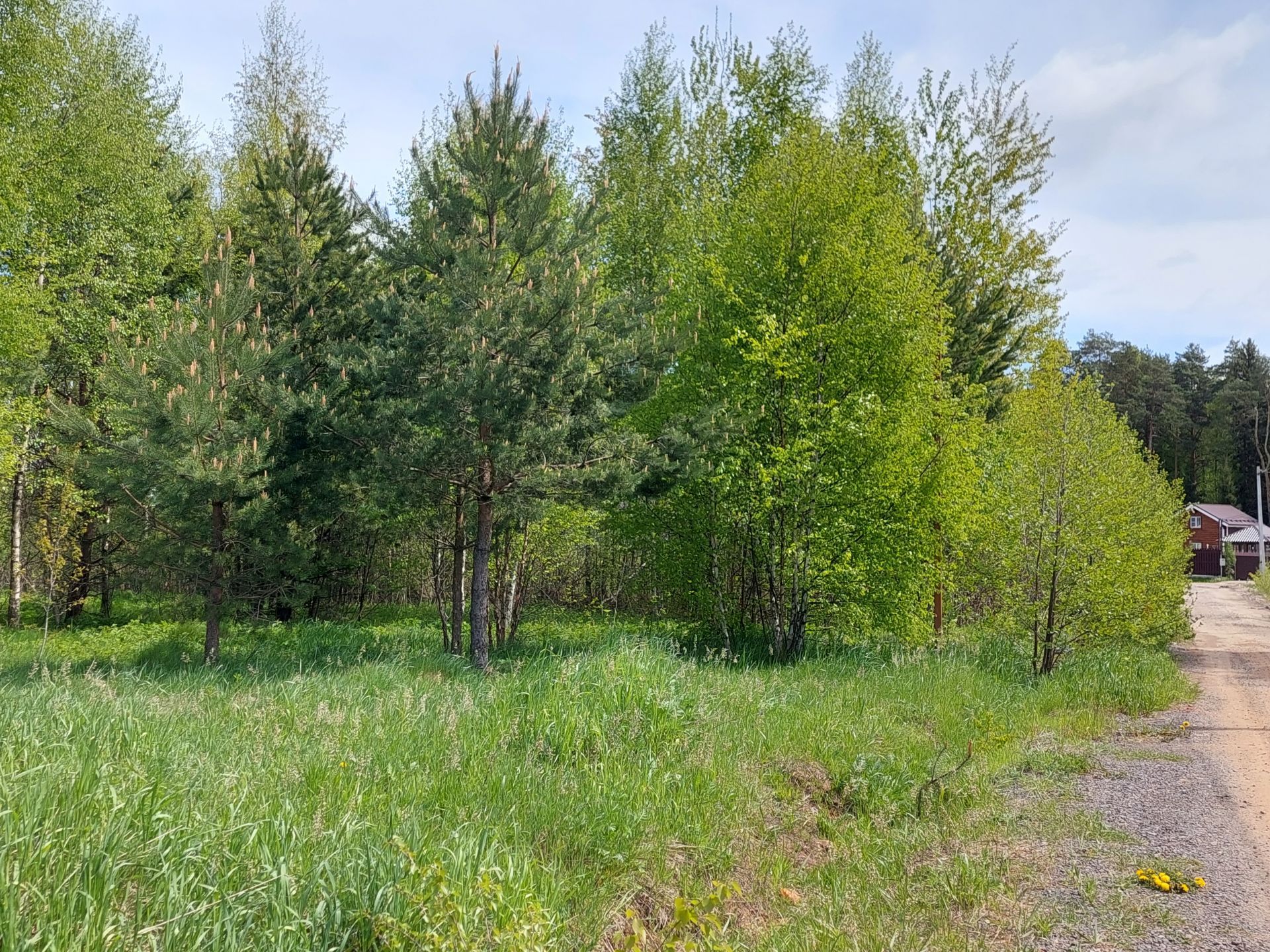 Земли поселения Московская область, Богородский городской округ, деревня  Жилино, коттеджный посёлок Яхонты Клаб – агентство недвижимости «Азбука  недвижимости» Москва и МО