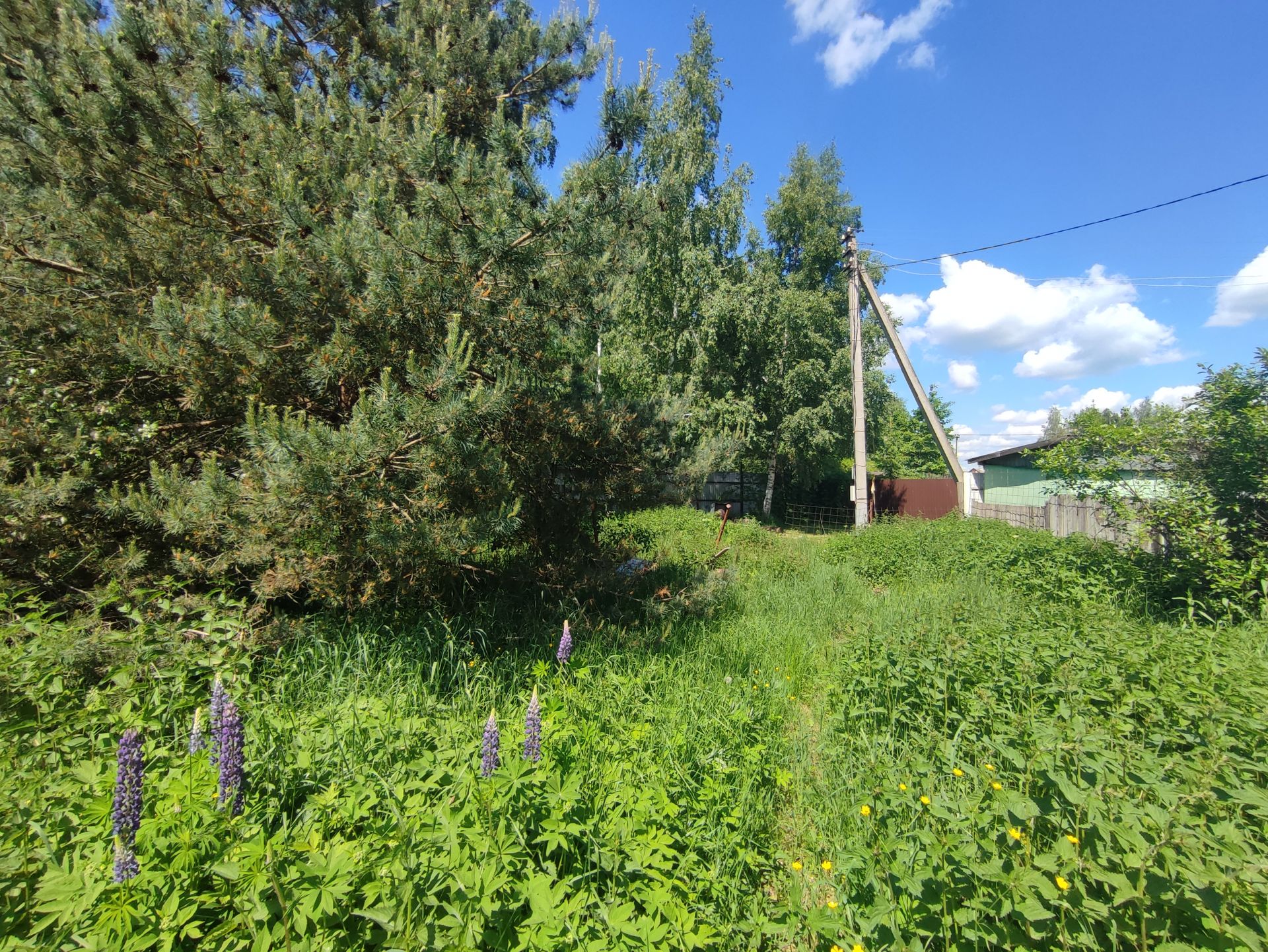 Земли сельхозназначения Московская область, Богородский городской округ, садоводческое некоммерческое товарищество Заречье