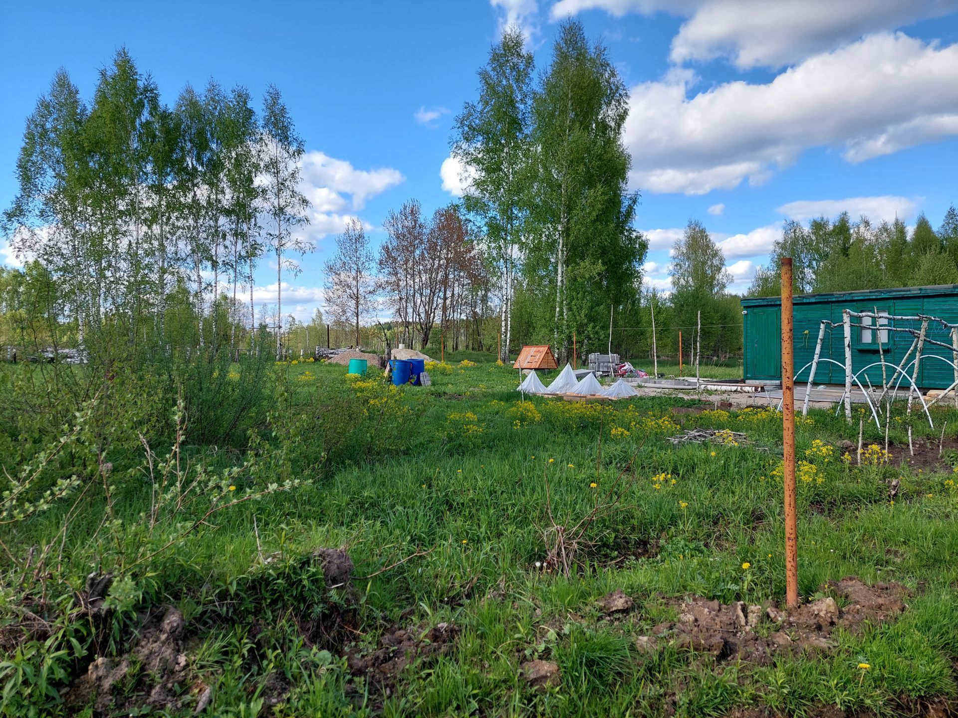 Земли поселения Московская область, Богородский городской округ, деревня  Молзино, 1-я Восточная улица – агентство недвижимости «Азбука недвижимости»  Москва и МО