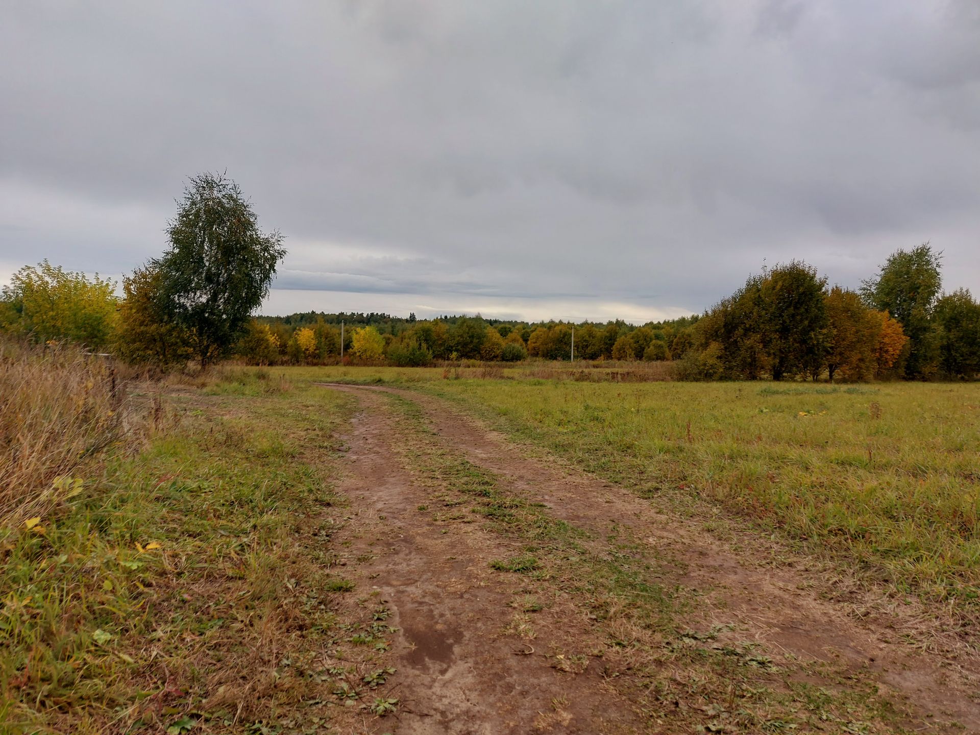 Деревня повадино солнечногорский район фото